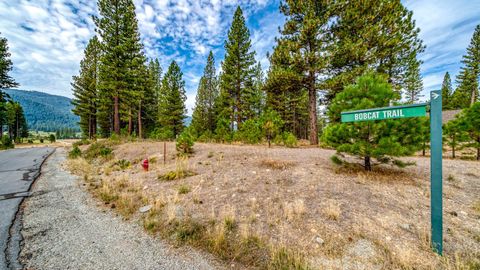 Vacant Land For Sale - 503 Redtail Loop<br/> Clio, CA 96106