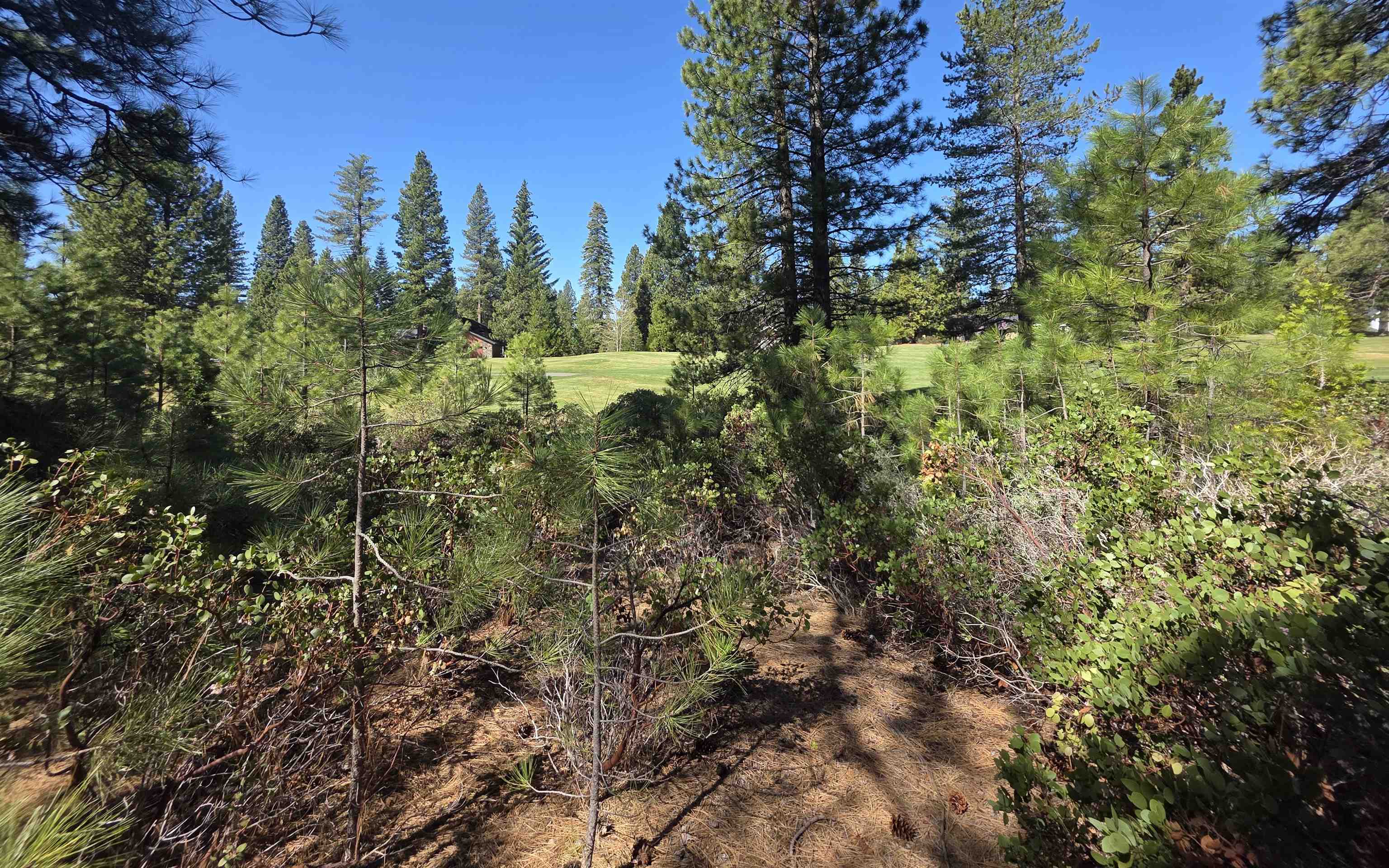214 Manor Drive, Lake Almanor, New Mexico image 3