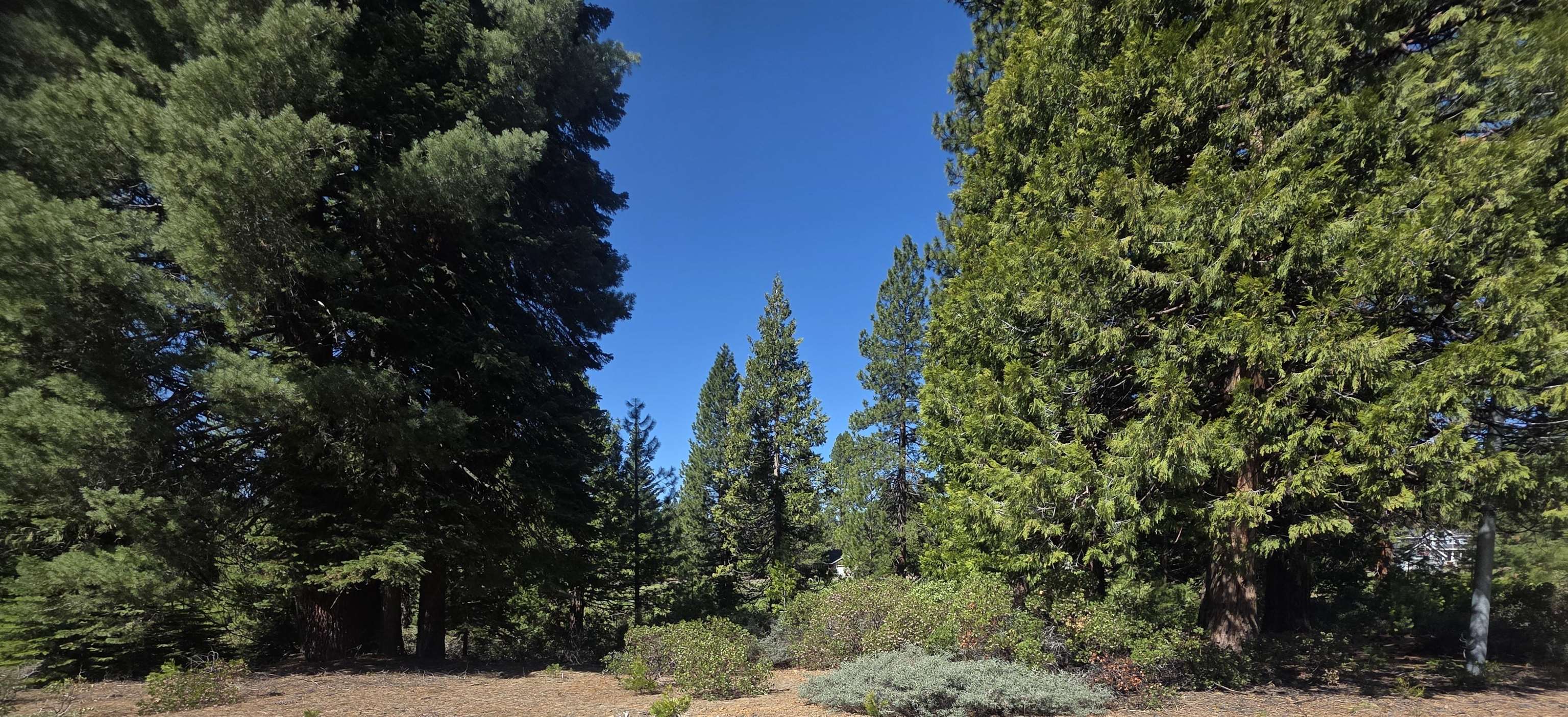 214 Manor Drive, Lake Almanor, New Mexico image 1
