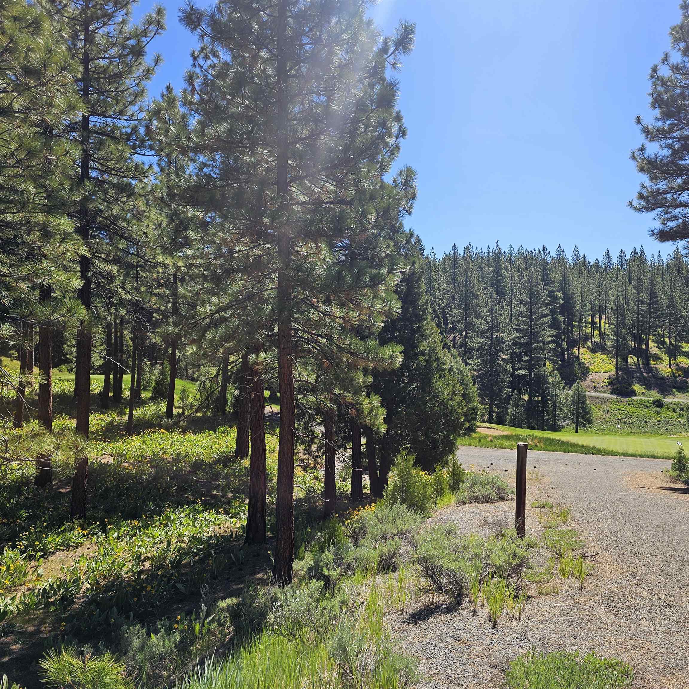 403 Big Grizzly, Portola, New Mexico image 5