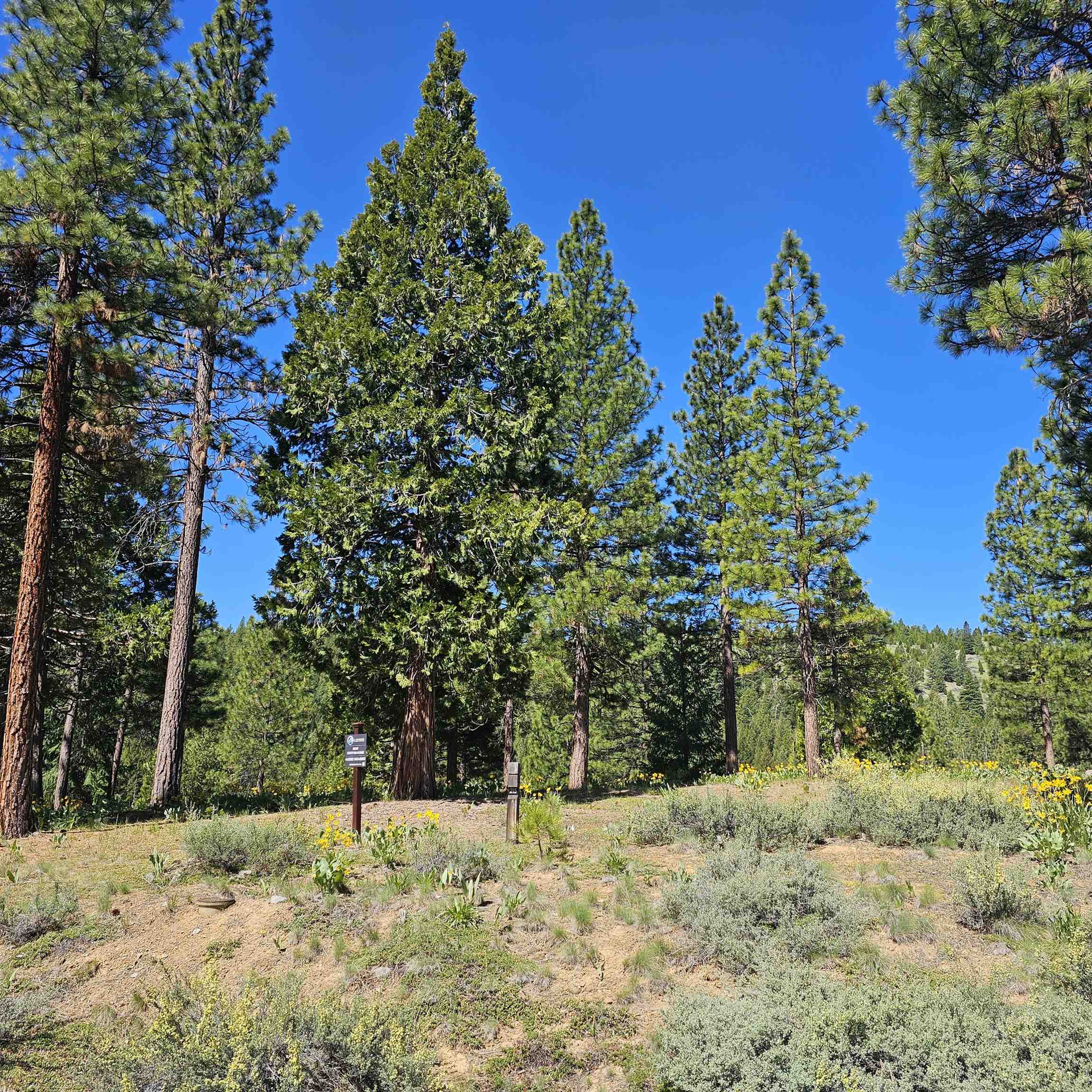 403 Big Grizzly, Portola, New Mexico image 1