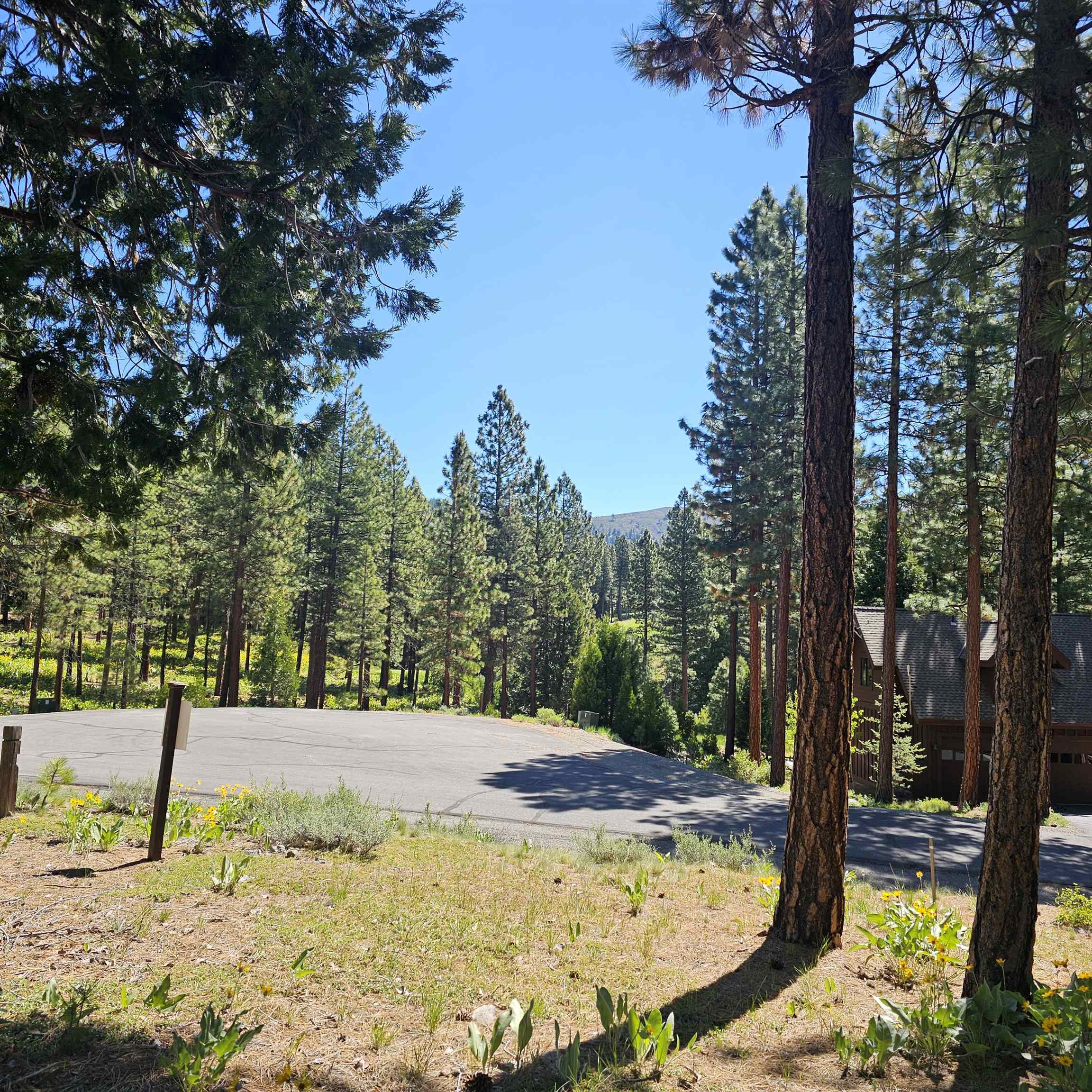 403 Big Grizzly, Portola, New Mexico image 4