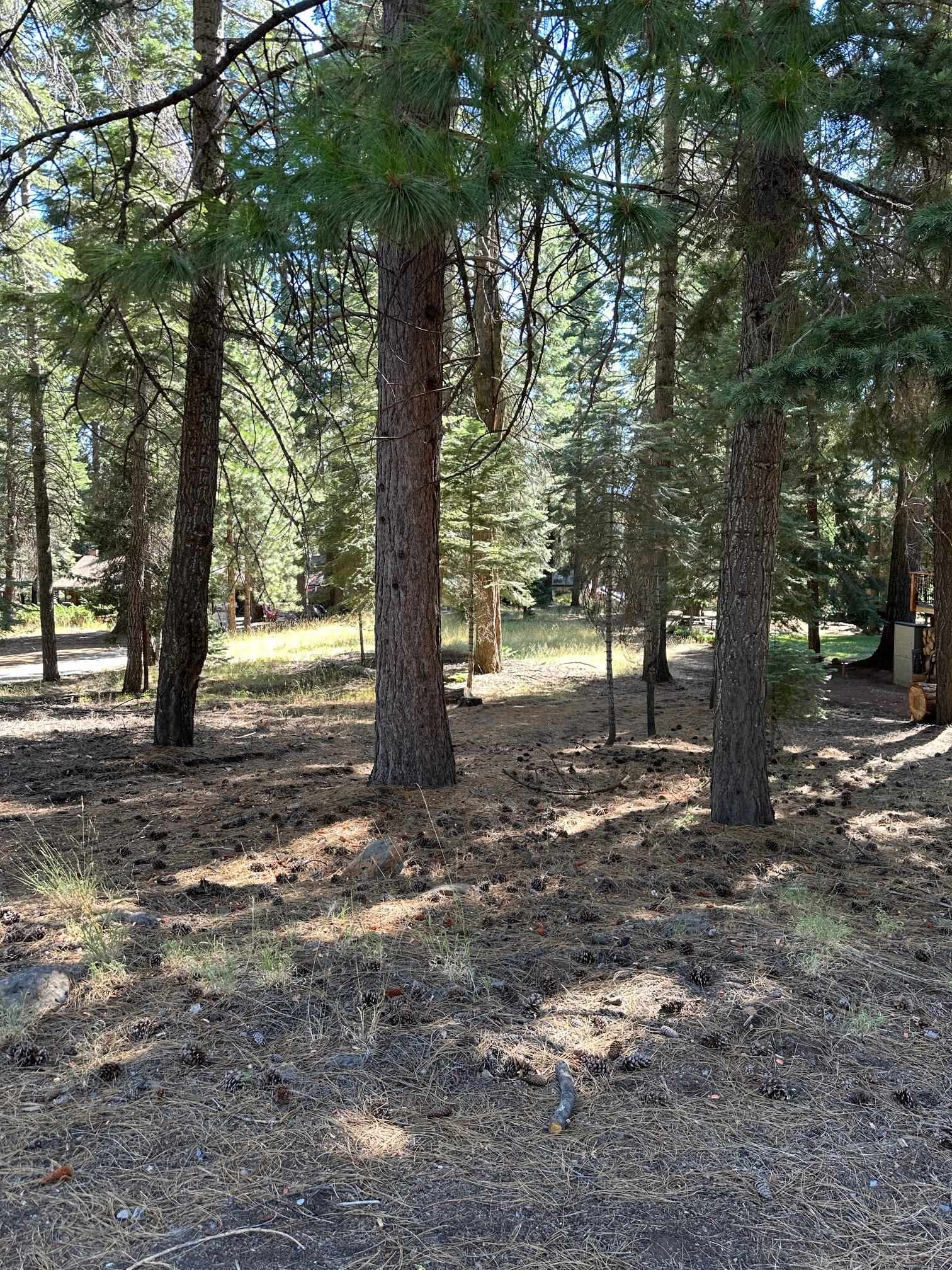 Lake Almanor, California 96137, United States, ,Land,Active,104690