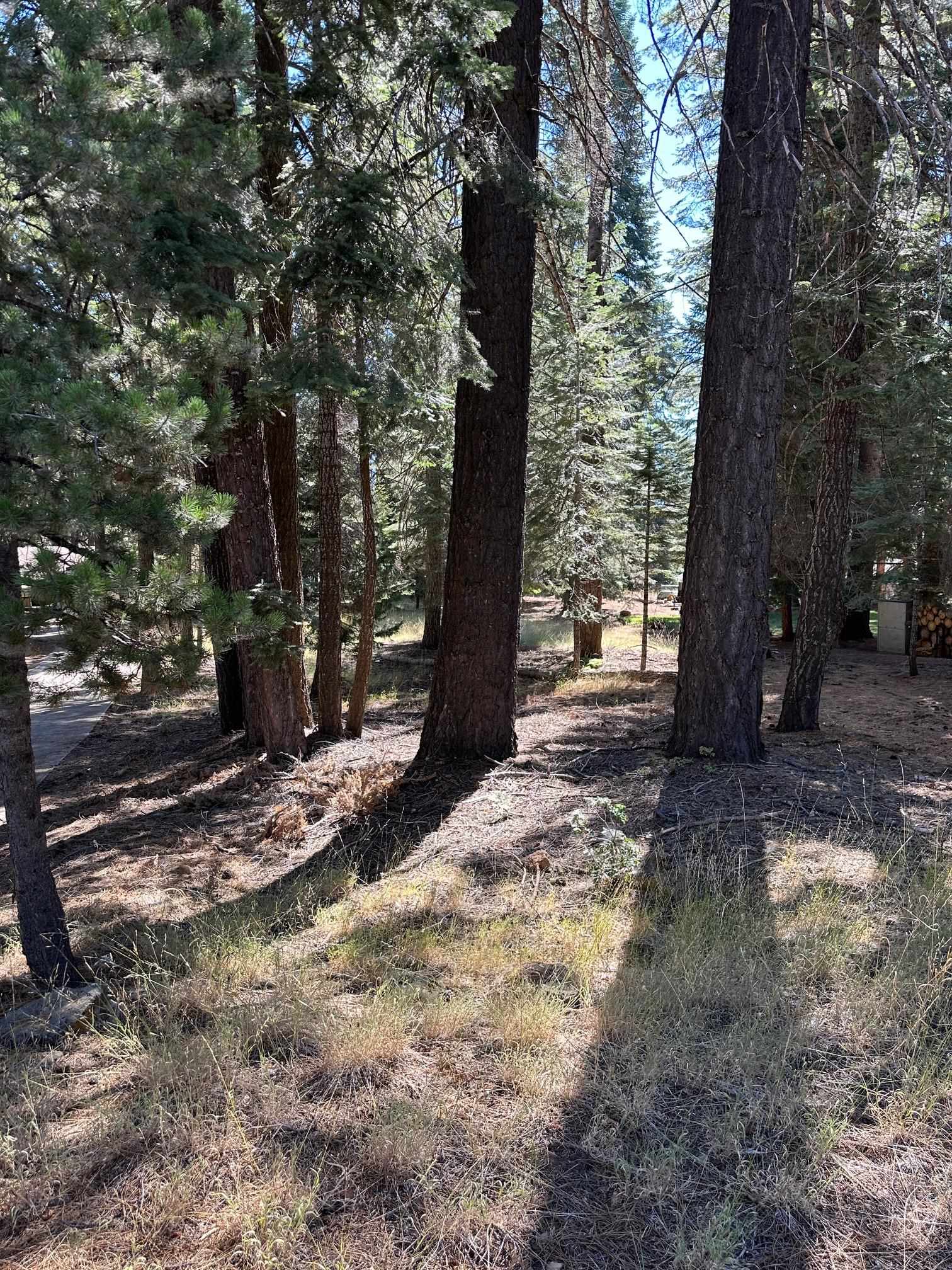 Lake Almanor, California 96137, United States, ,Land,Active,104690