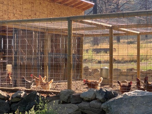 400 Green Gulch Road, Chilcoot, California image 21