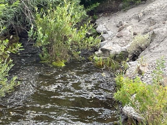 400 Green Gulch Road, Chilcoot, California image 5