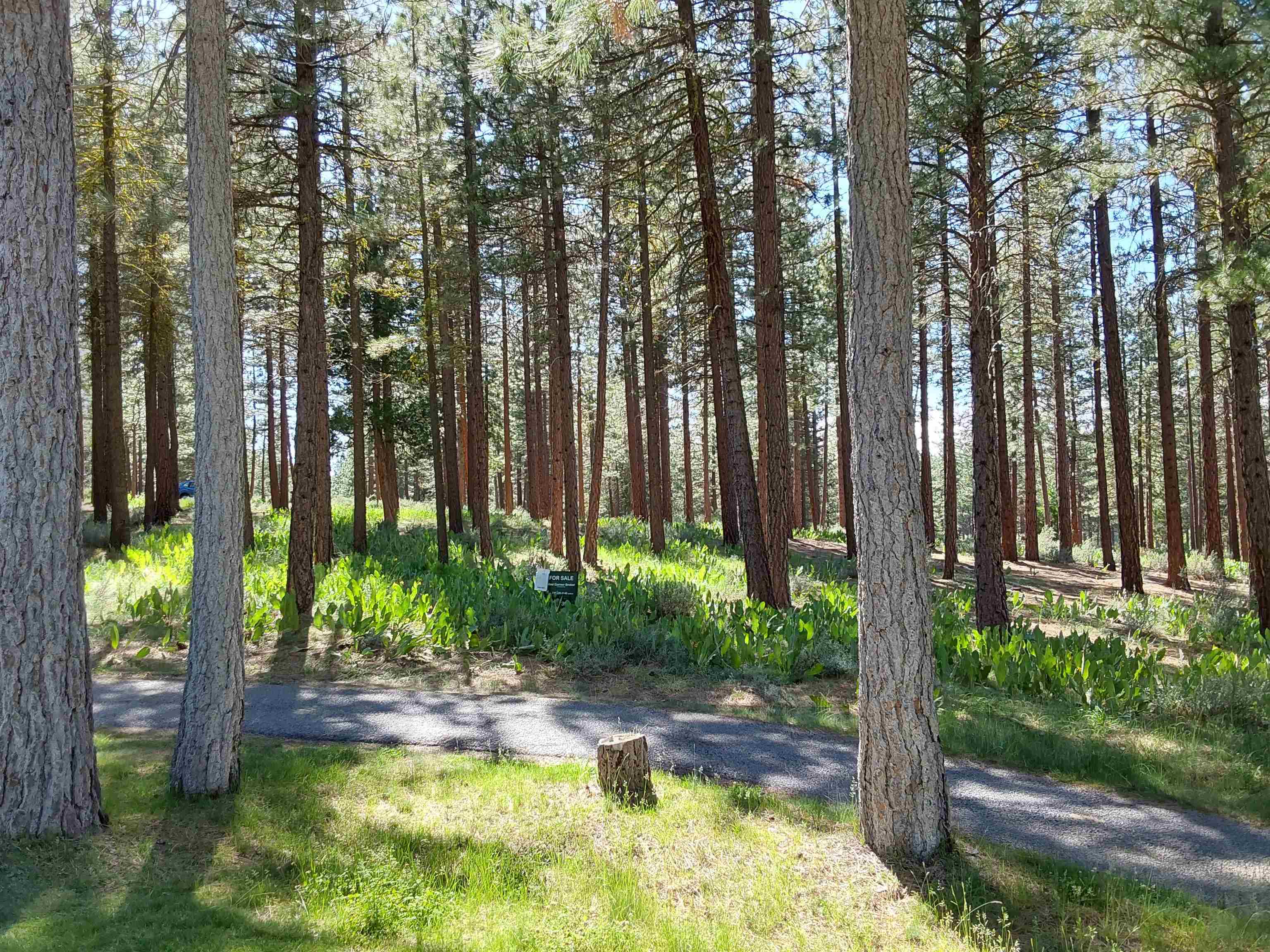 1387 SW Eagle Feather Road #123, Portola, New Mexico image 33