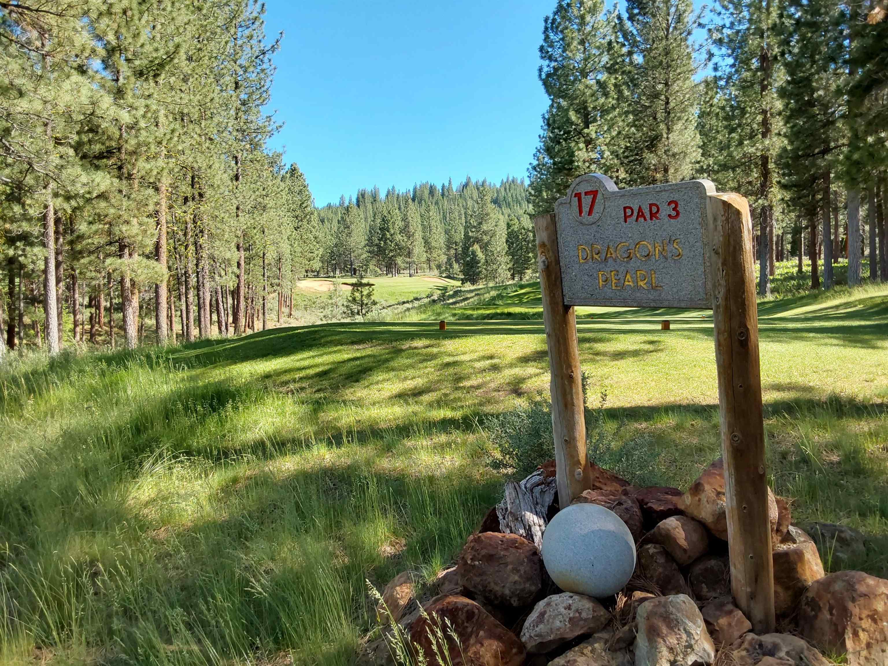 1387 SW Eagle Feather Road #123, Portola, New Mexico image 23