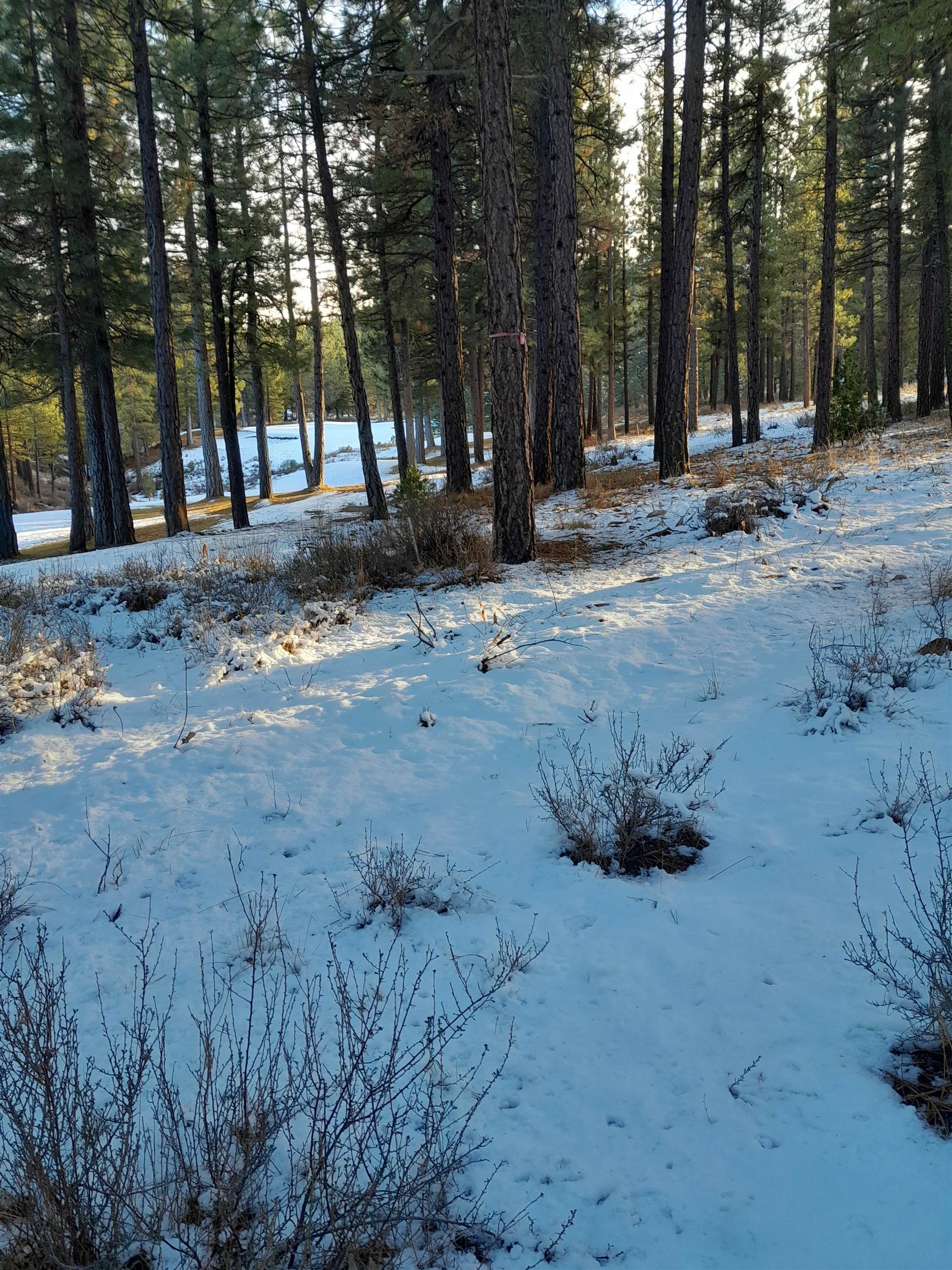 1387 SW Eagle Feather Road #123, Portola, New Mexico image 1