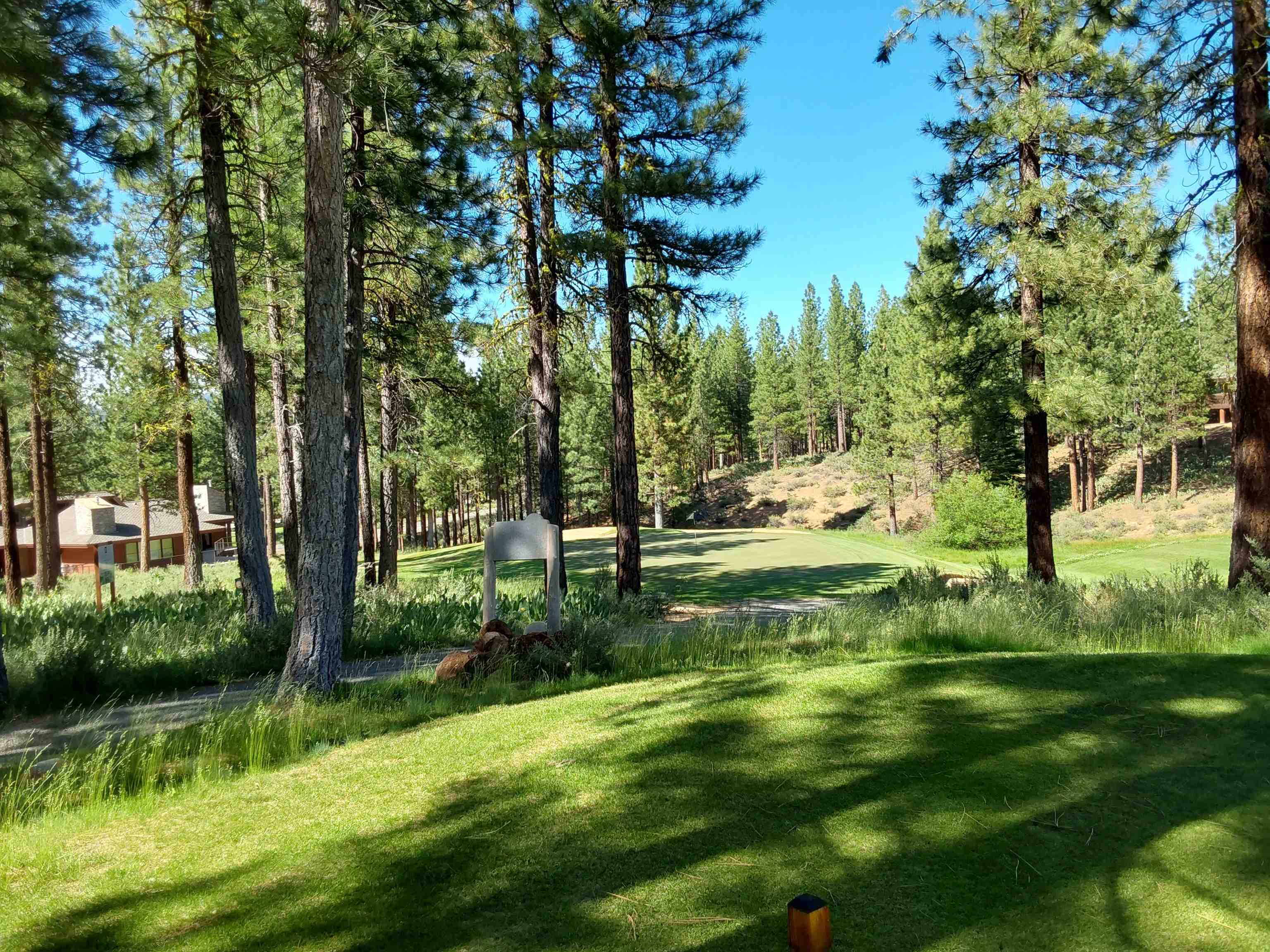 1387 SW Eagle Feather Road #123, Portola, New Mexico image 34