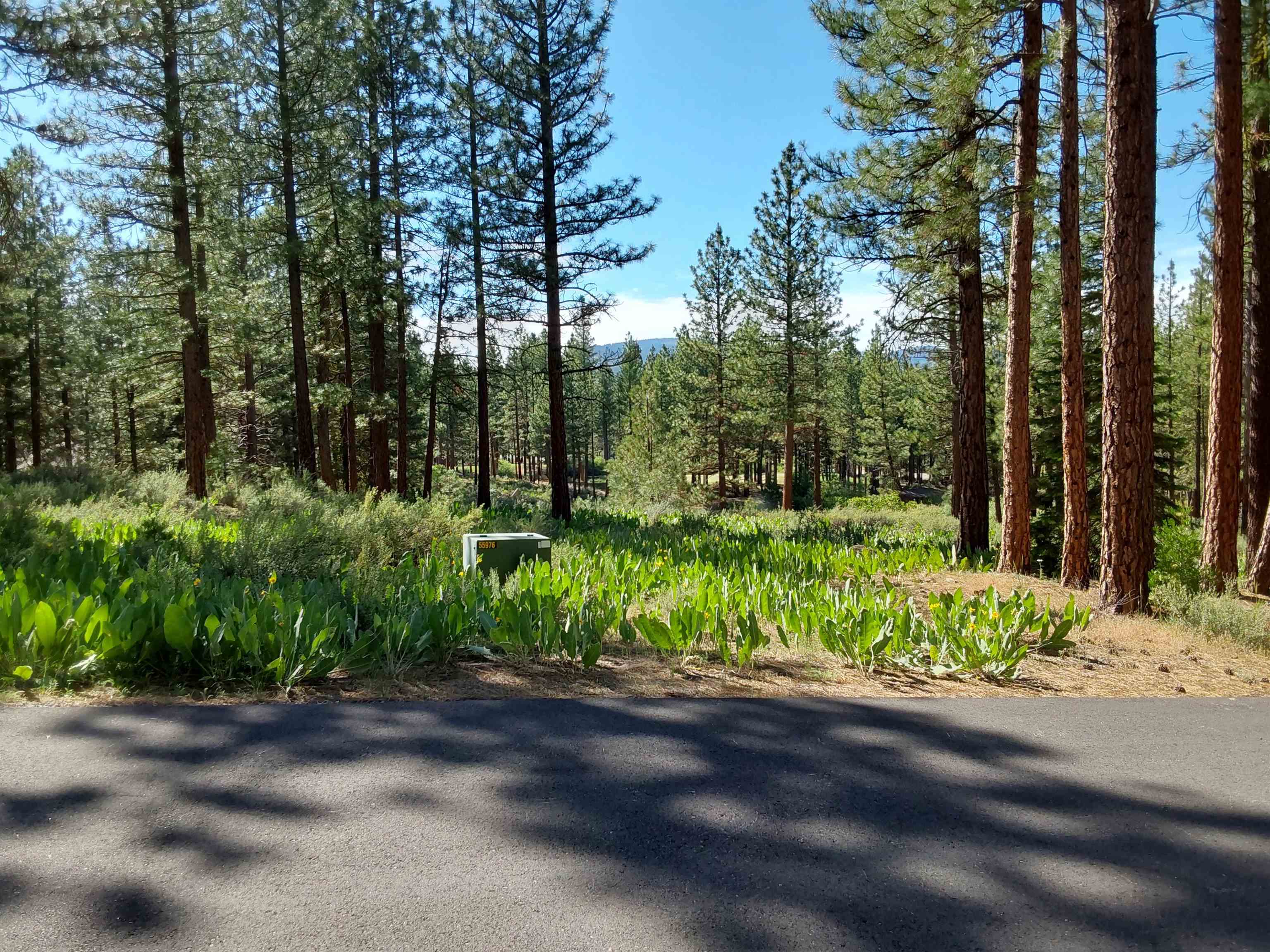1387 SW Eagle Feather Road #123, Portola, New Mexico image 6
