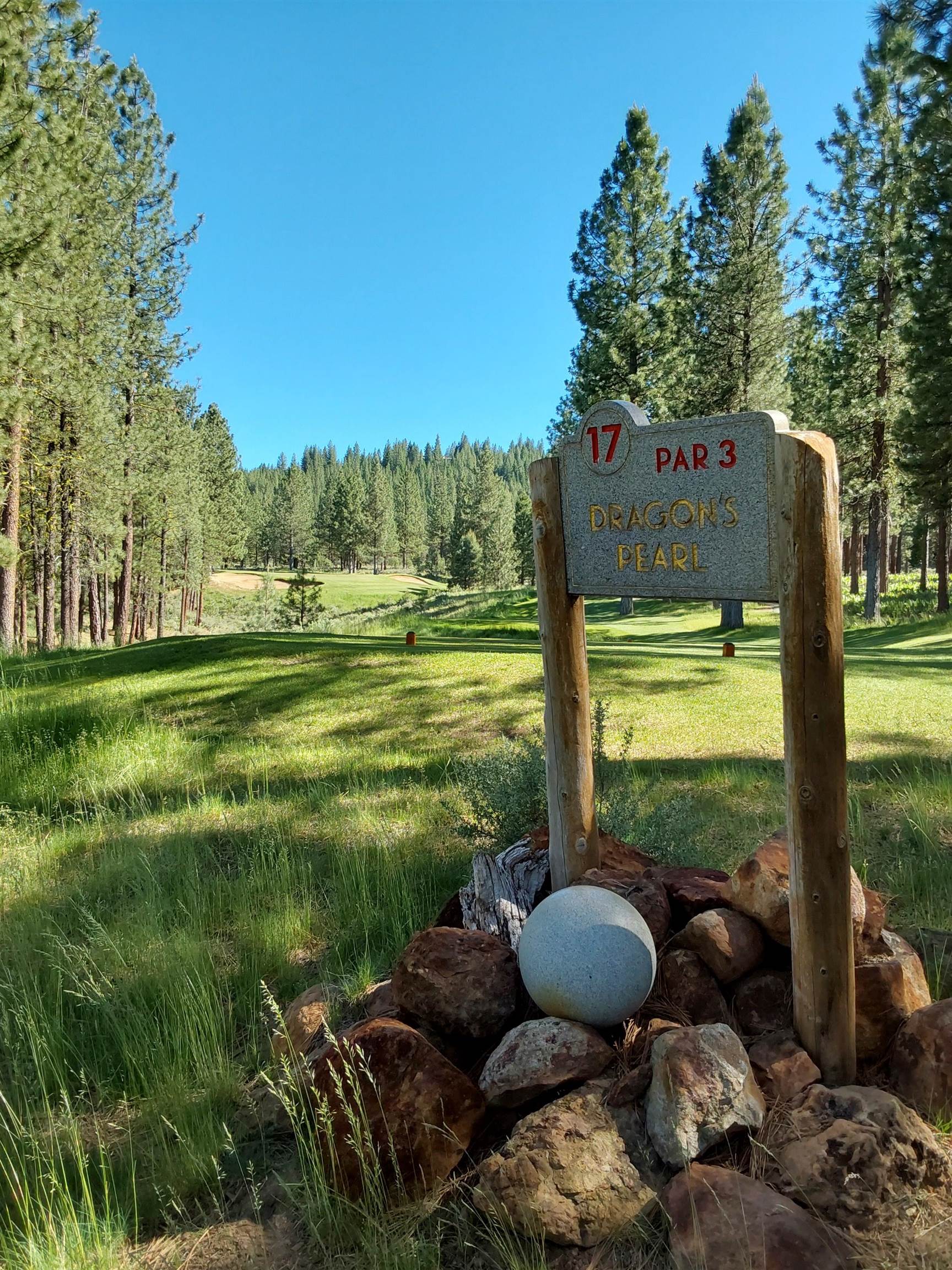 1387 SW Eagle Feather Road #123, Portola, New Mexico image 22