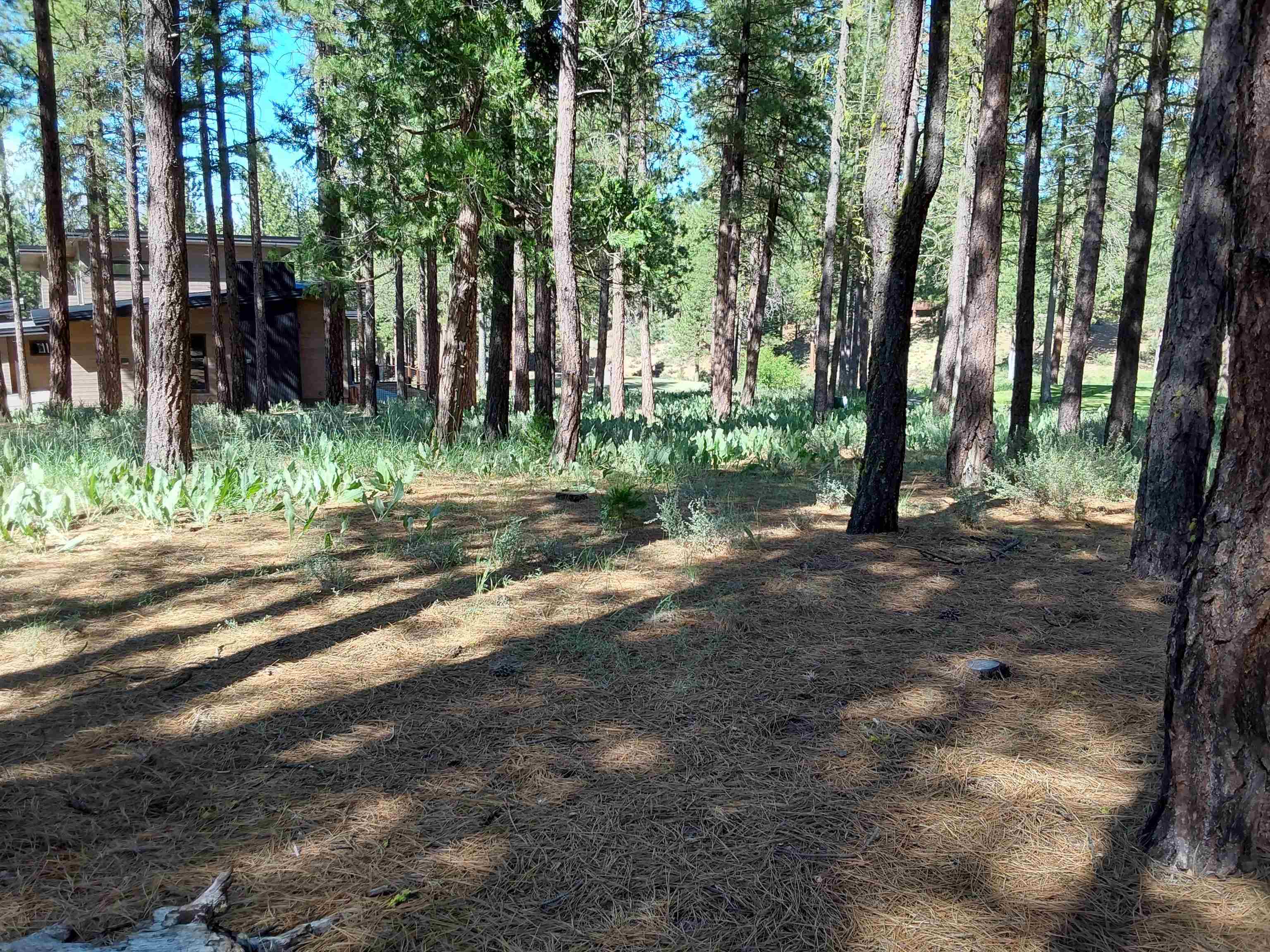 1387 SW Eagle Feather Road #123, Portola, New Mexico image 39