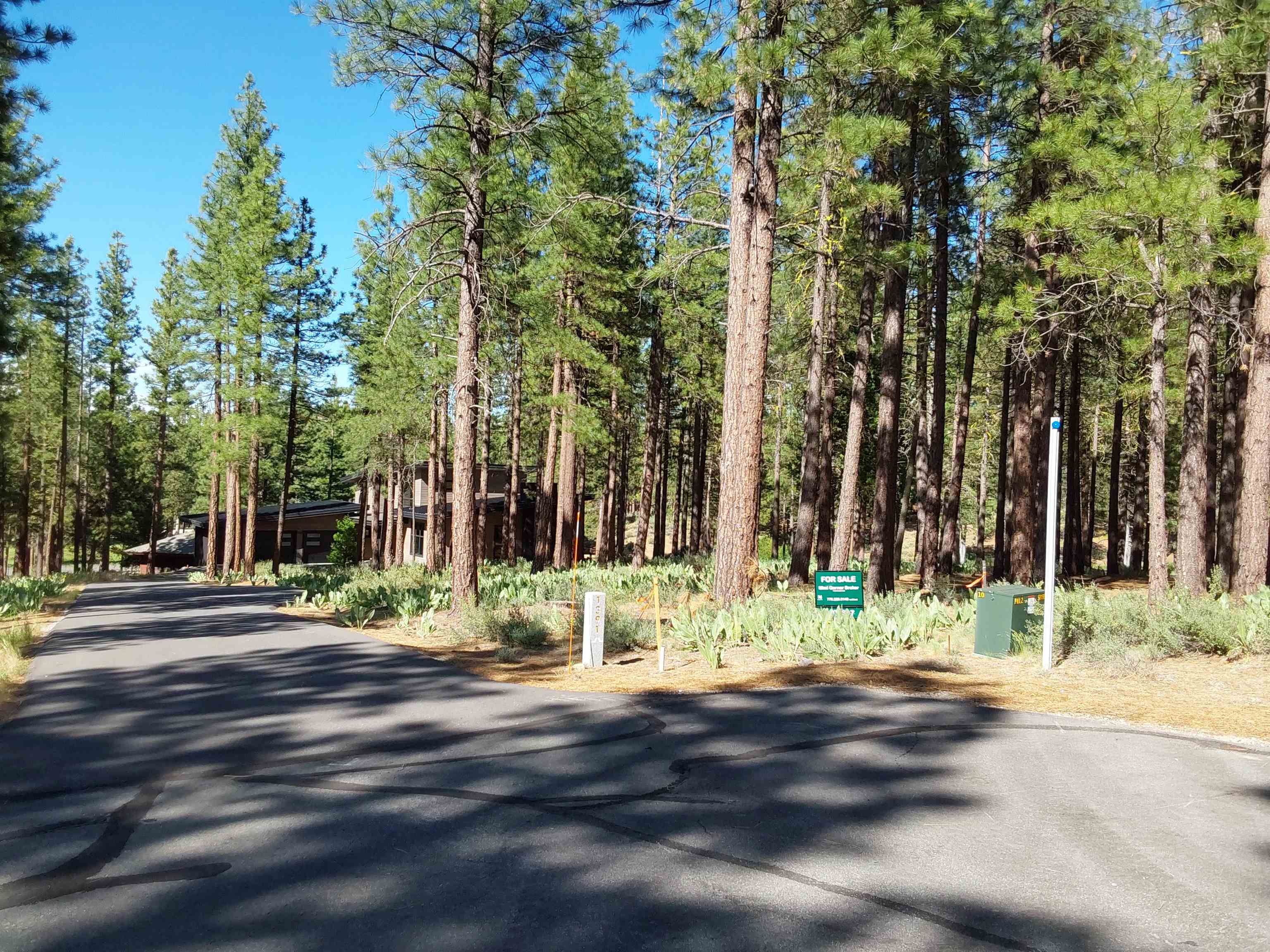 1387 SW Eagle Feather Road #123, Portola, New Mexico image 2