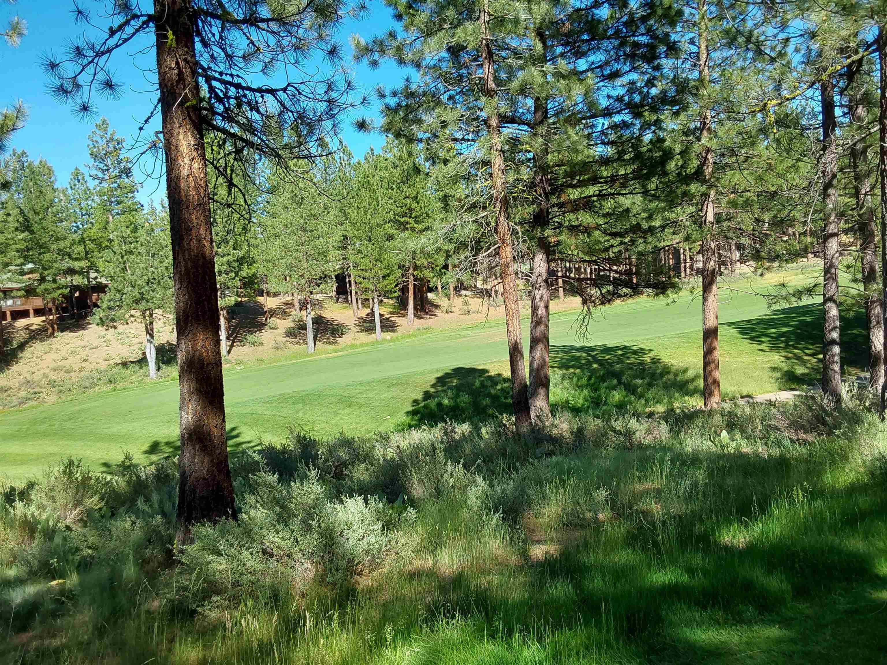 1387 SW Eagle Feather Road #123, Portola, New Mexico image 29