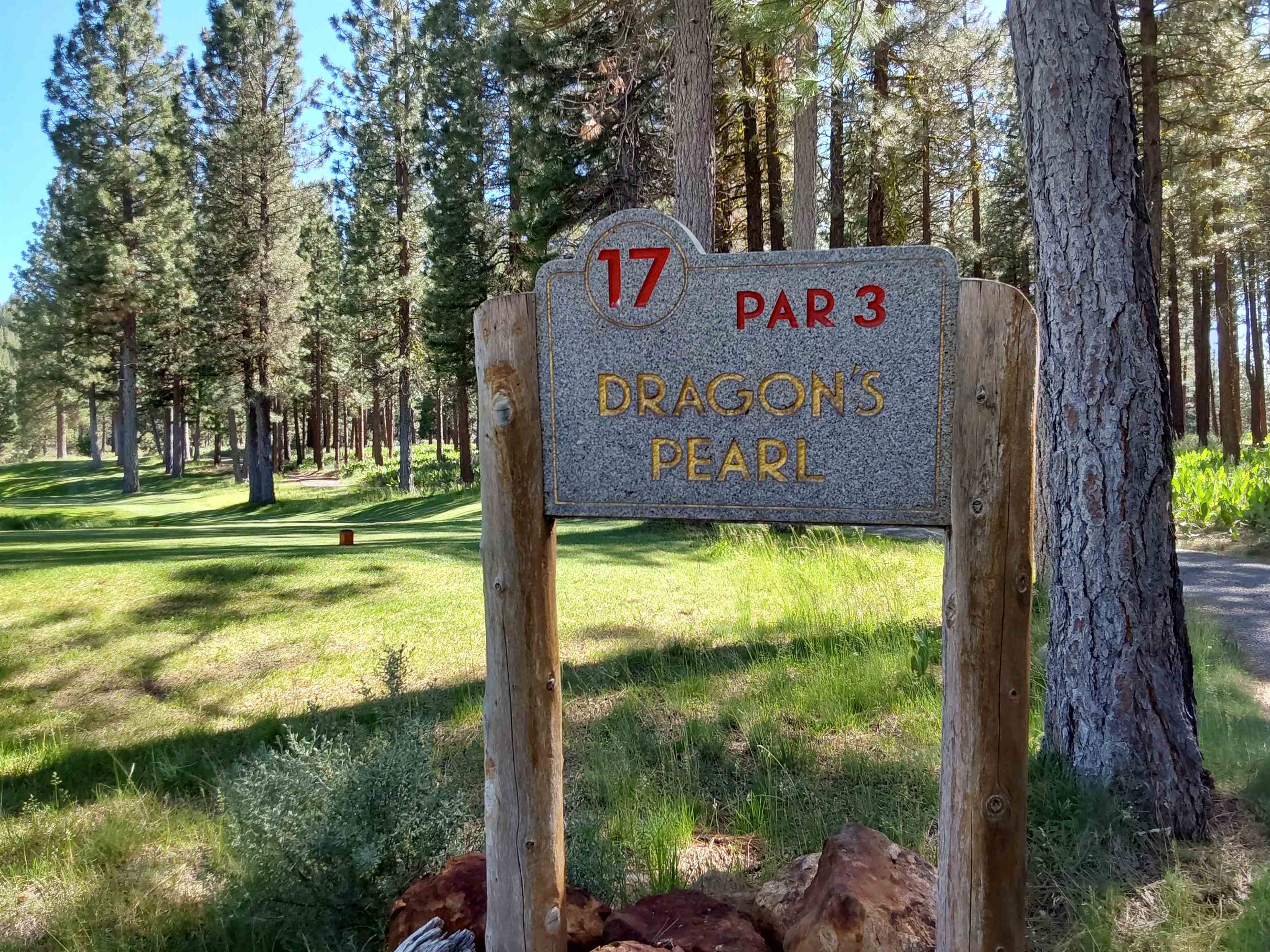 1387 SW Eagle Feather Road #123, Portola, New Mexico image 24
