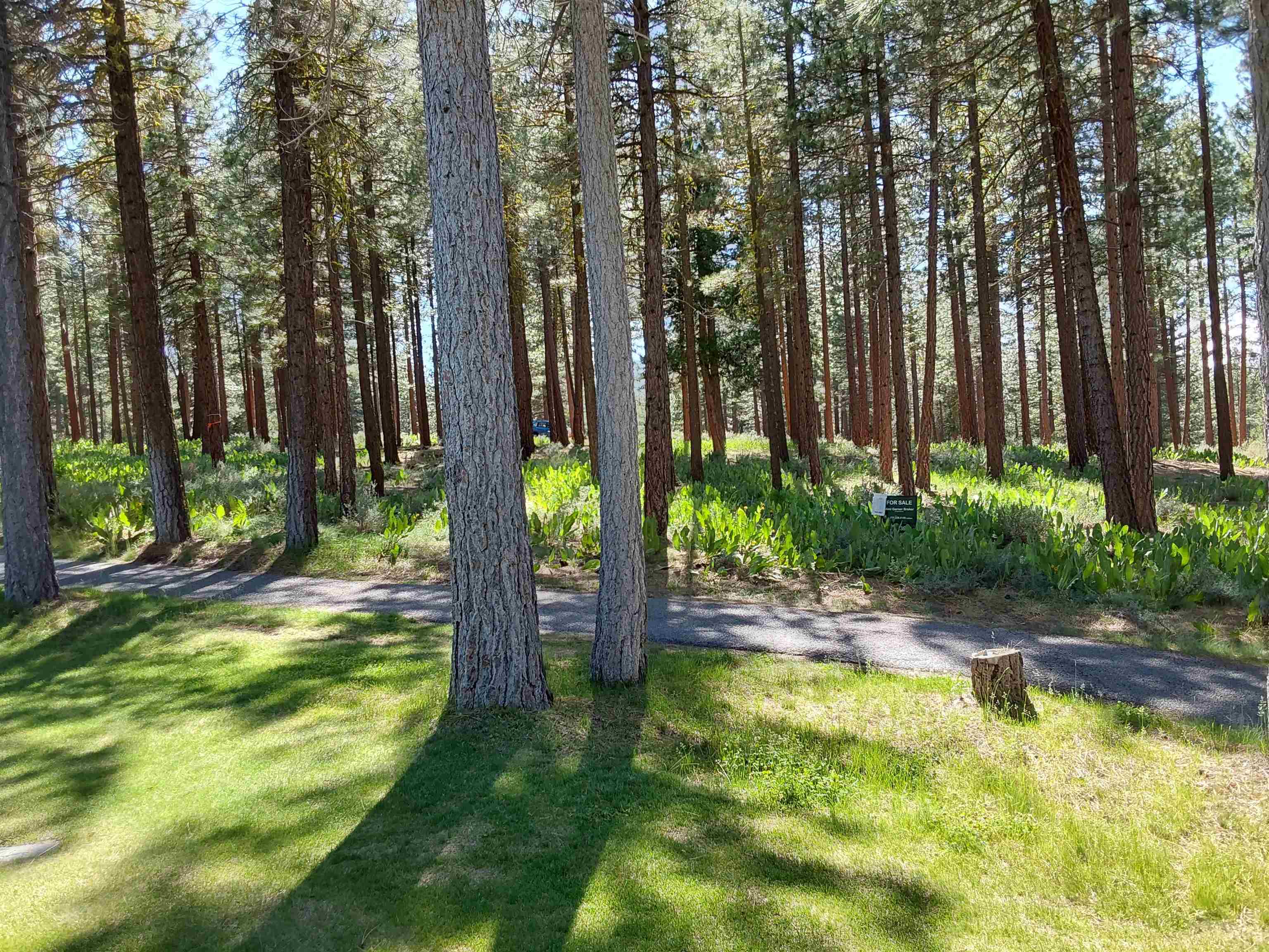 1387 SW Eagle Feather Road #123, Portola, New Mexico image 25