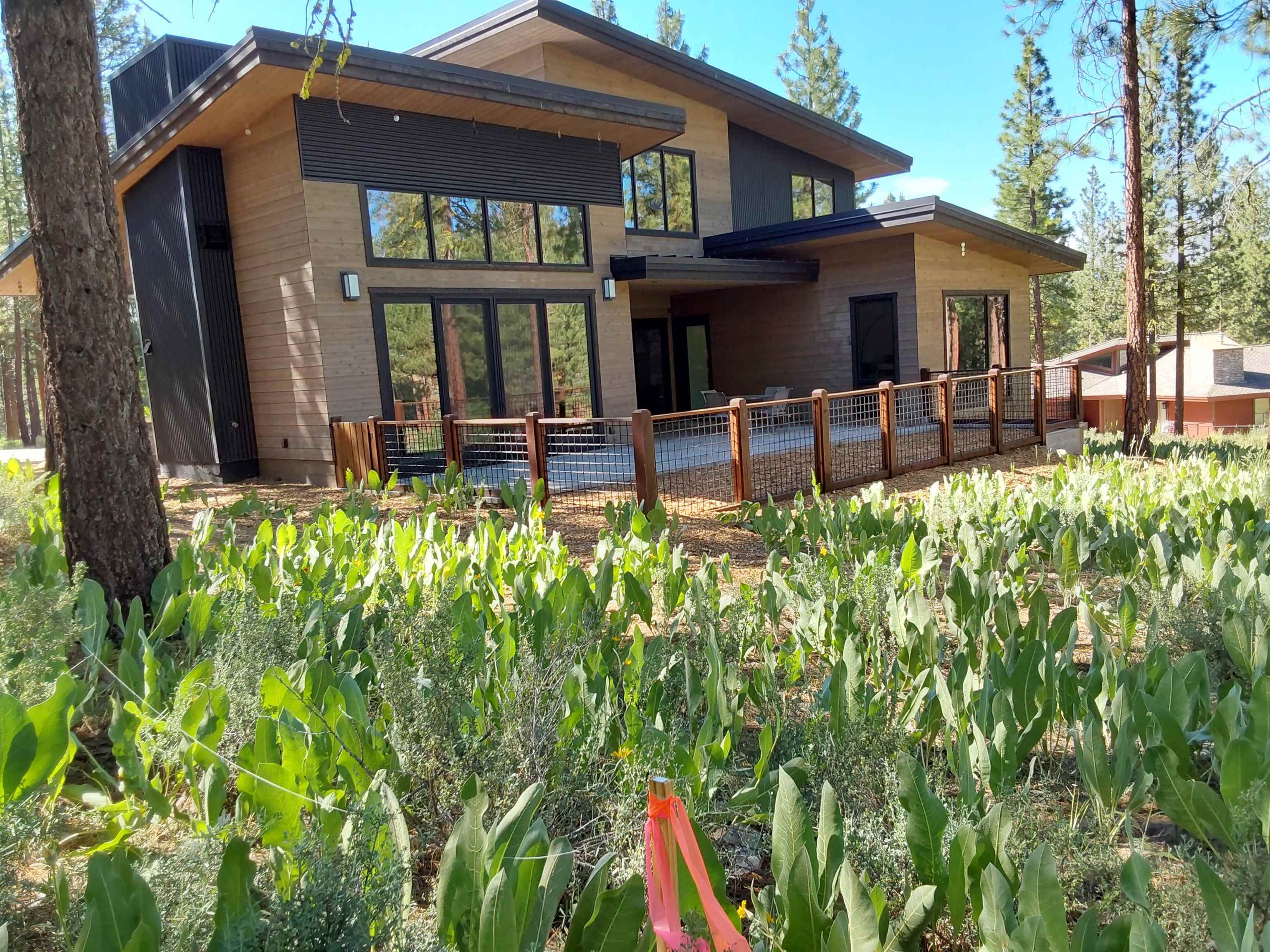 1387 SW Eagle Feather Road #123, Portola, New Mexico image 15
