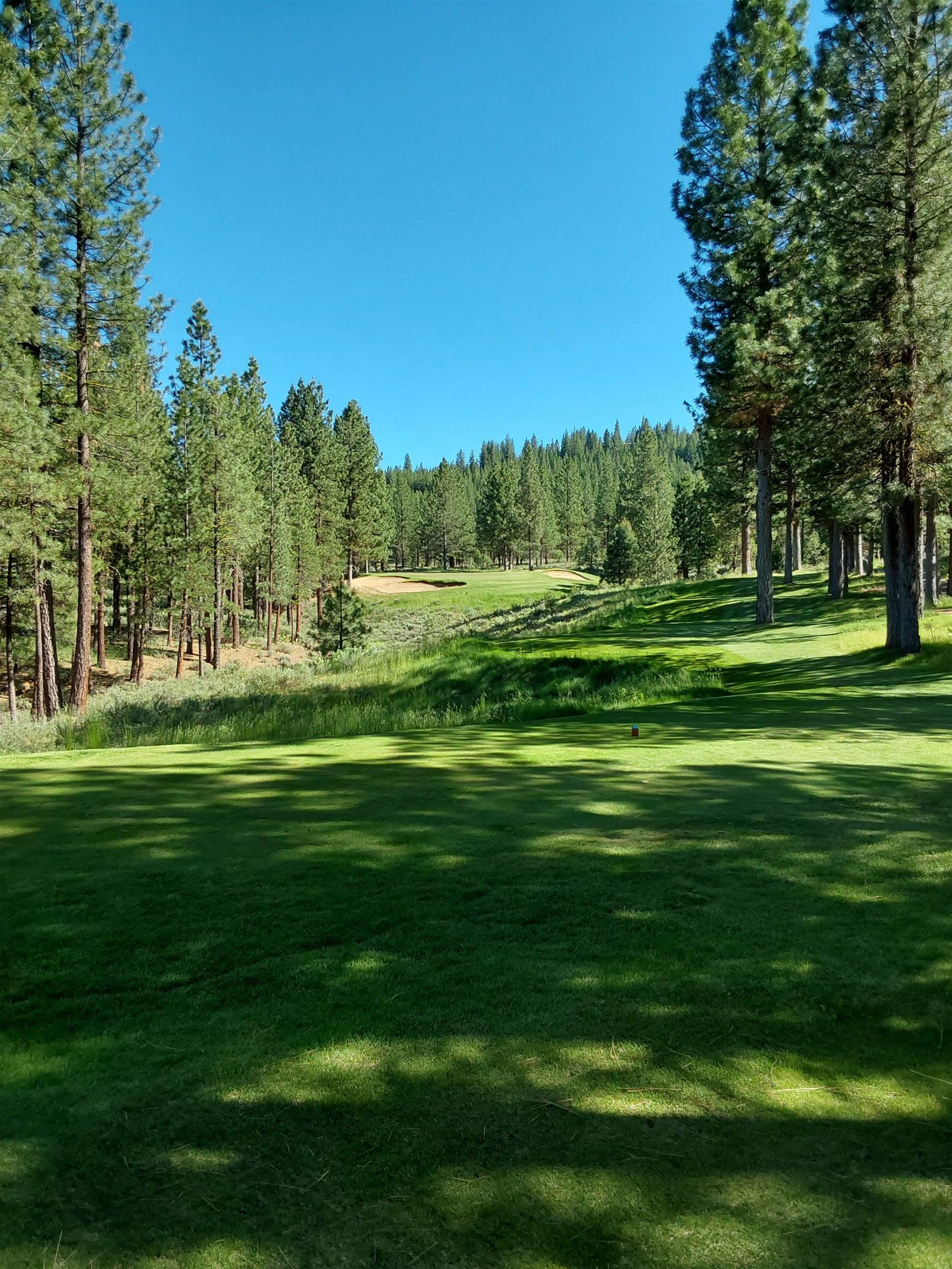 1387 SW Eagle Feather Road #123, Portola, New Mexico image 35