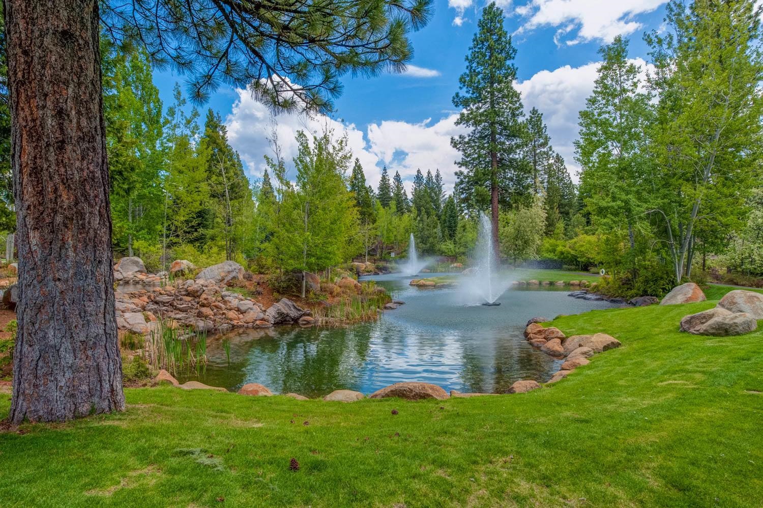 162 Blue Fox Drive, Lake Almanor, Texas image 5