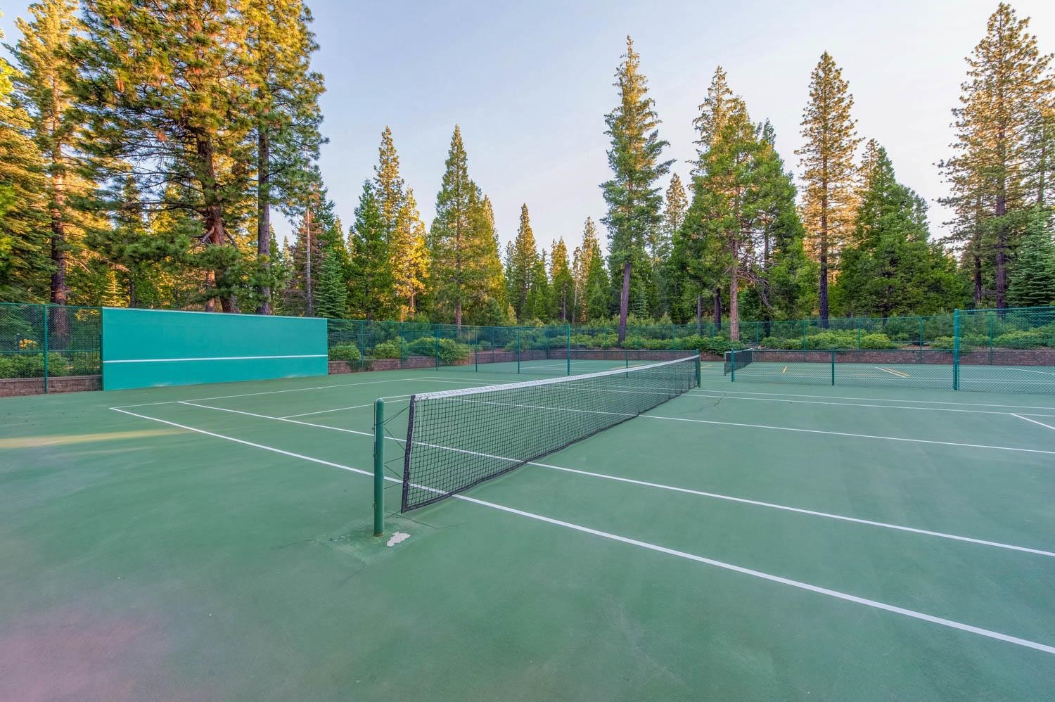 162 Blue Fox Drive, Lake Almanor, Texas image 9