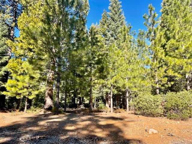 162 Blue Fox Drive, Lake Almanor, Texas image 1