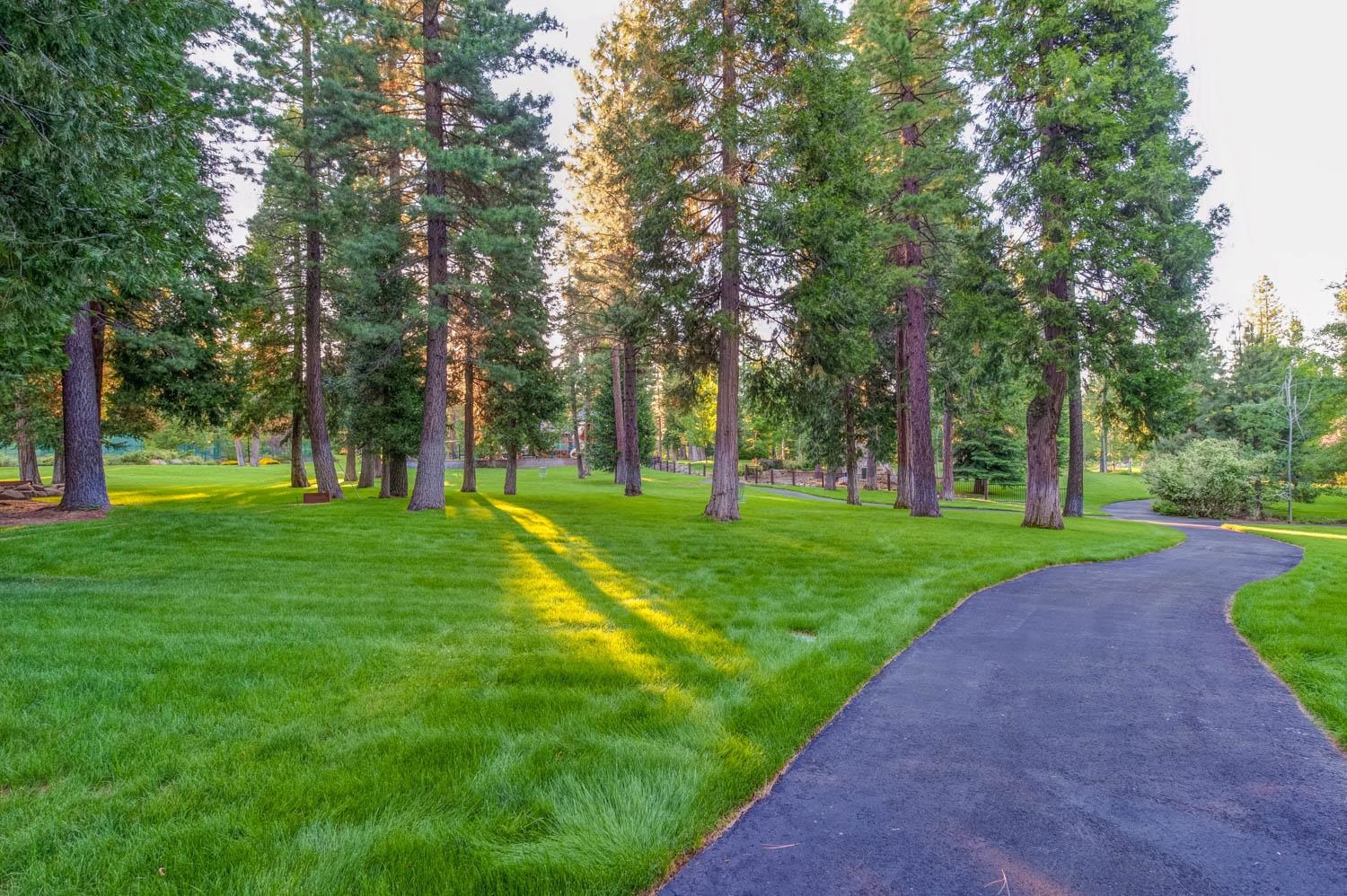 162 Blue Fox Drive, Lake Almanor, Texas image 8