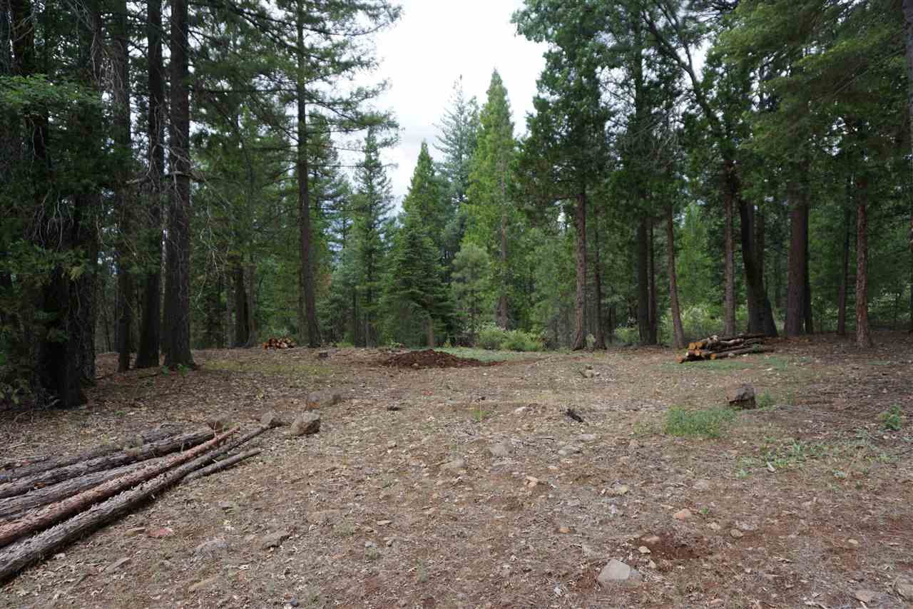 59171 N Overload Road, Cromberg, New Mexico image 3