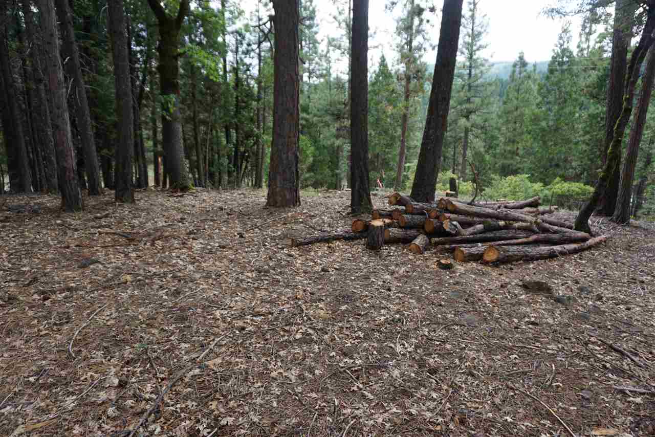 59171 N Overload Road, Cromberg, New Mexico image 4