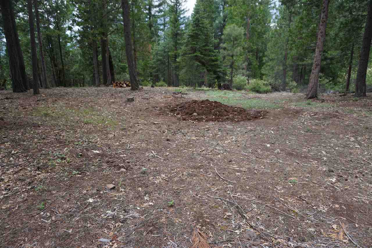 59171 N Overload Road, Cromberg, New Mexico image 2
