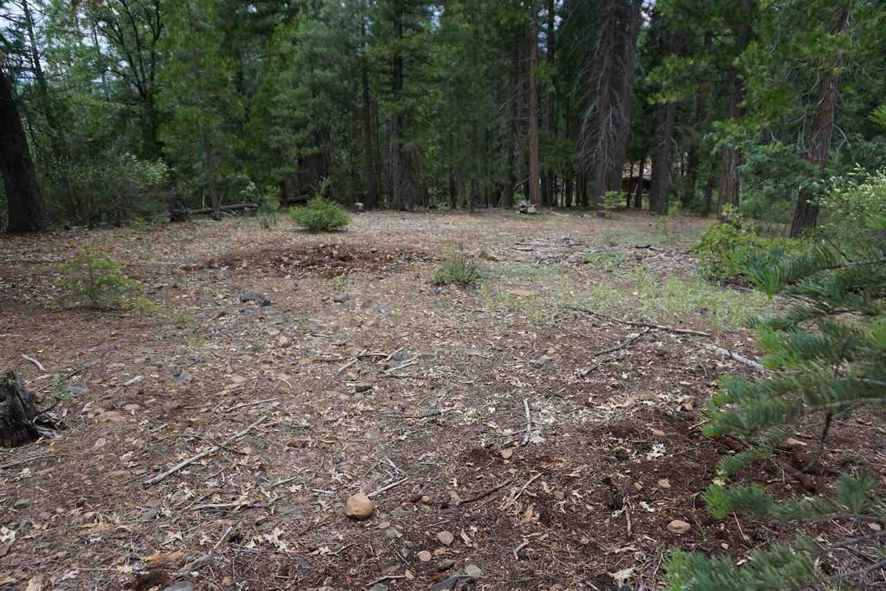 59171 N Overload Road, Cromberg, New Mexico image 5