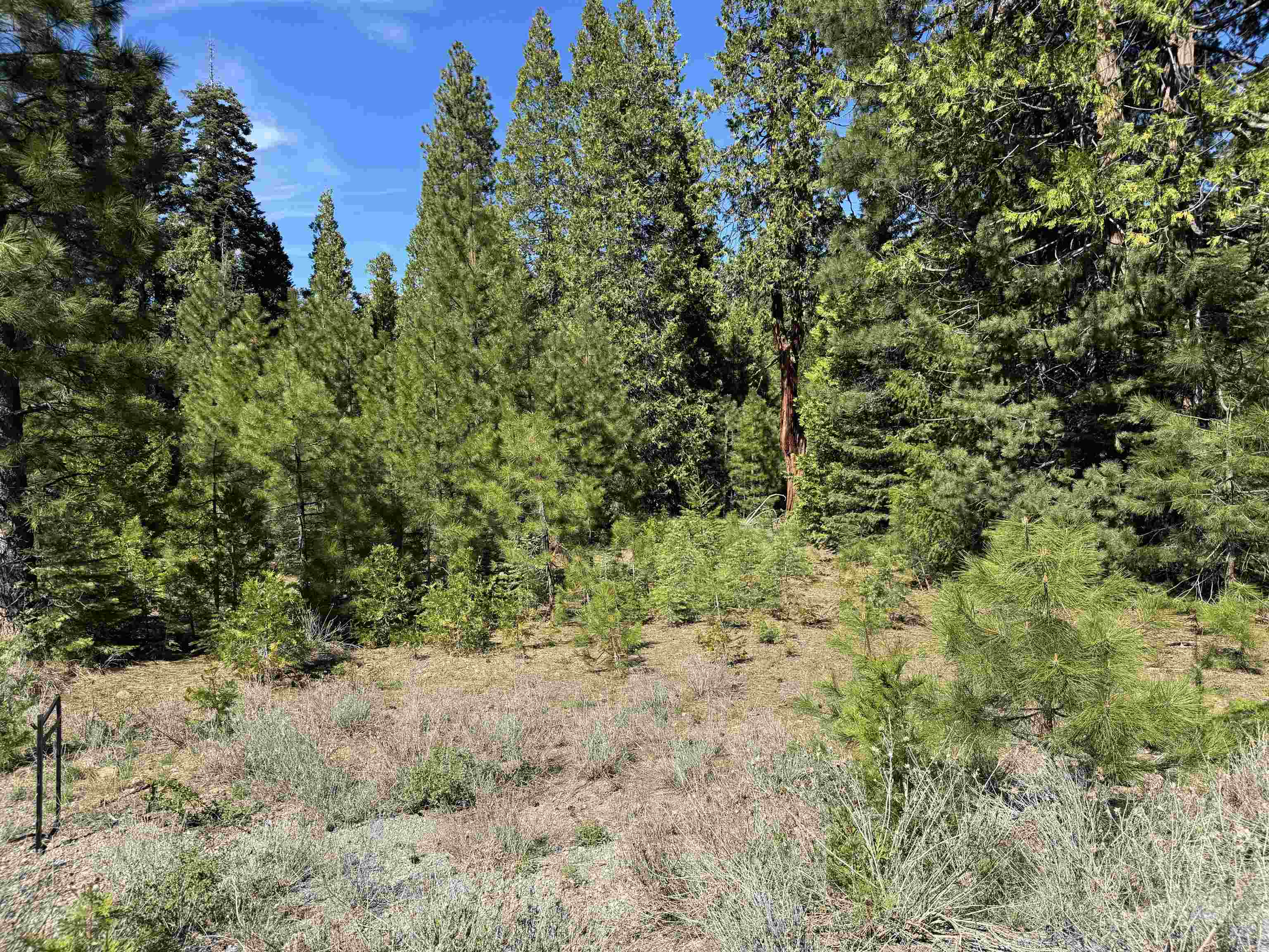 Prattville, California 95923, United States, ,Land,Active,126965 Prattville, California 95923, United States, ,Land,Active,126965