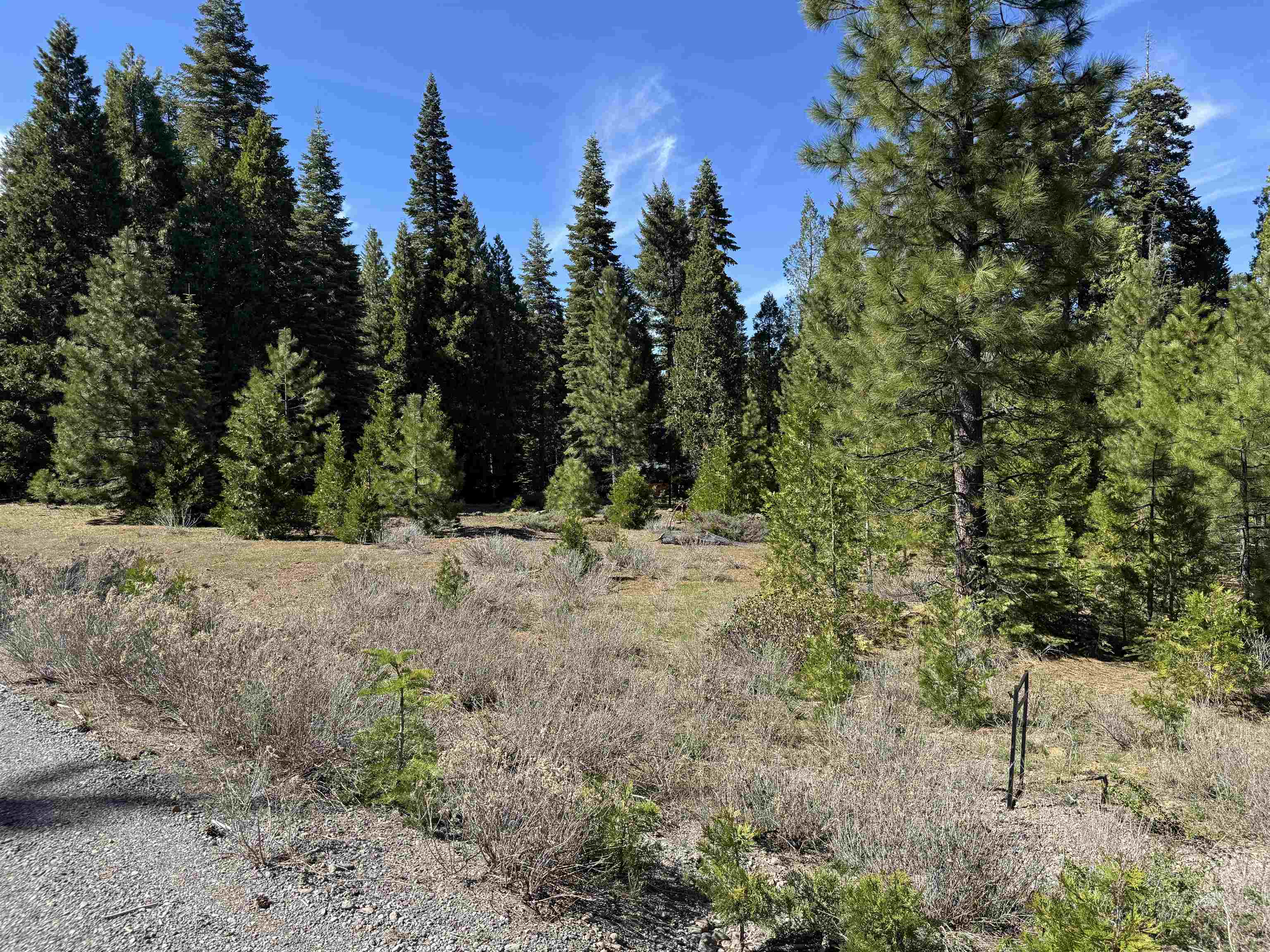 Prattville, California 95923, United States, ,Land,Active,126965