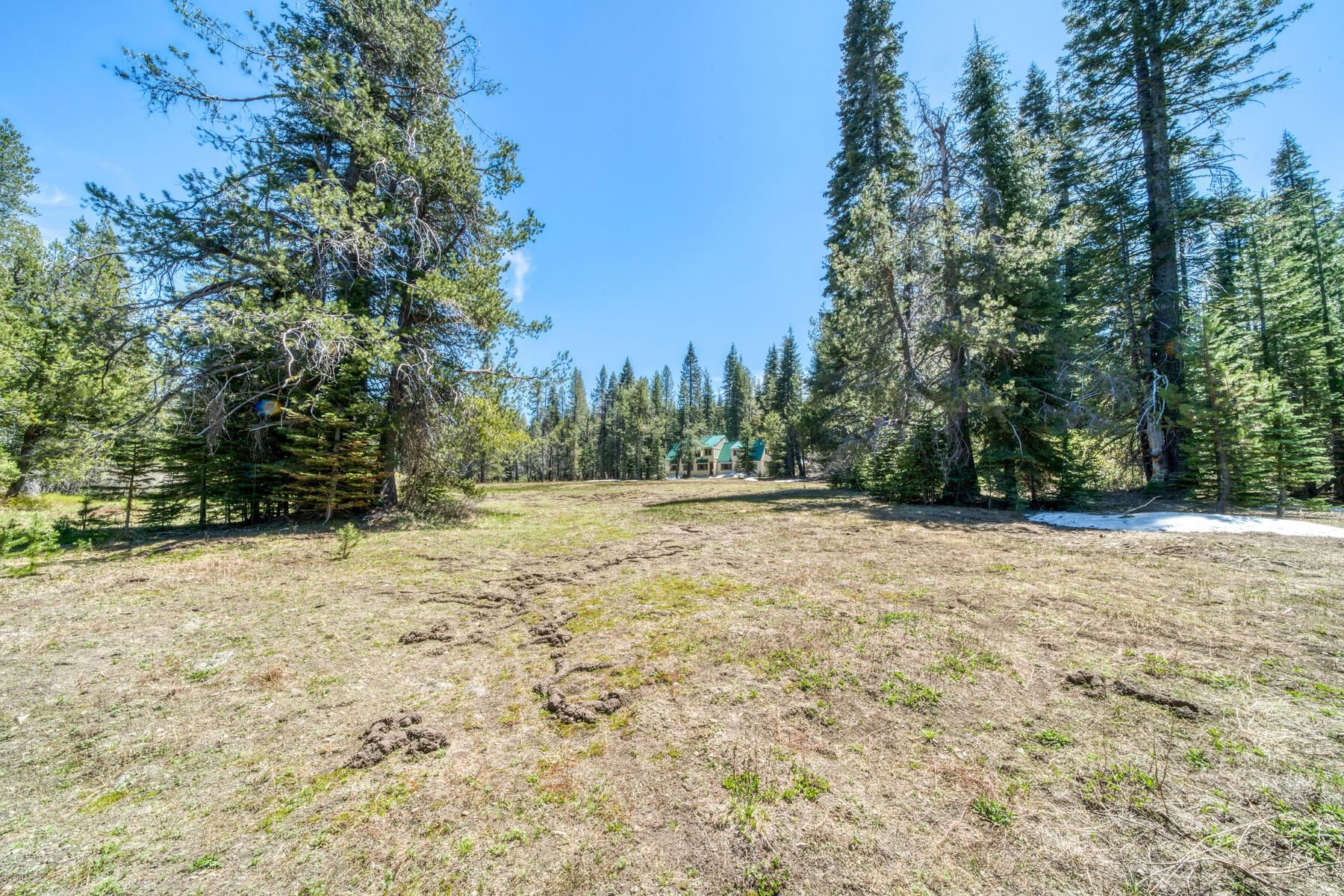809 W Countryman Drive, Bucks Lake, Texas image 30