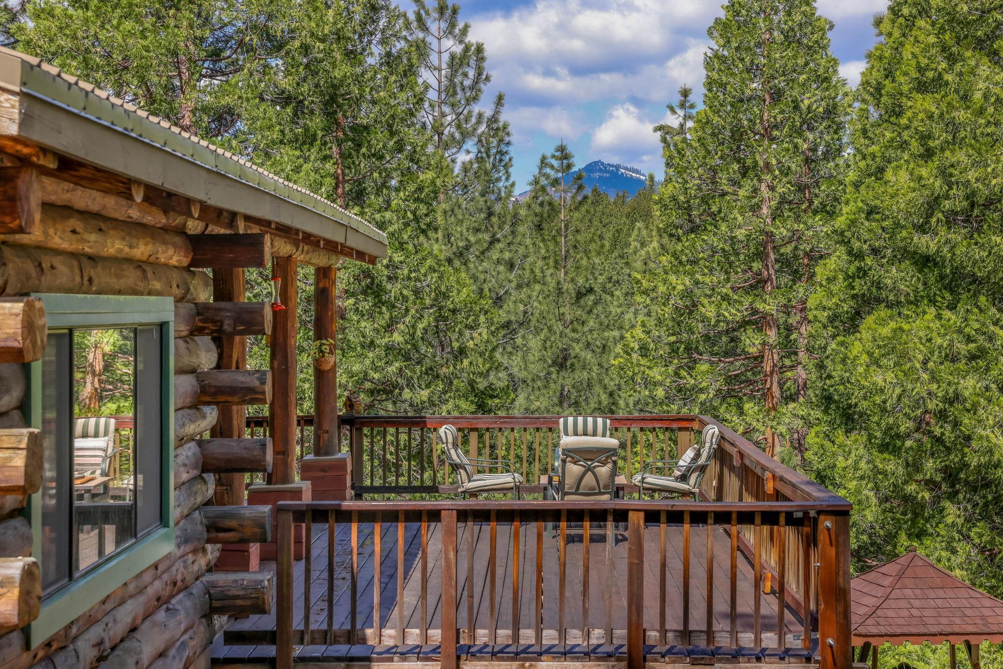 3225 Fawn Lane, Portola, New Mexico image 3