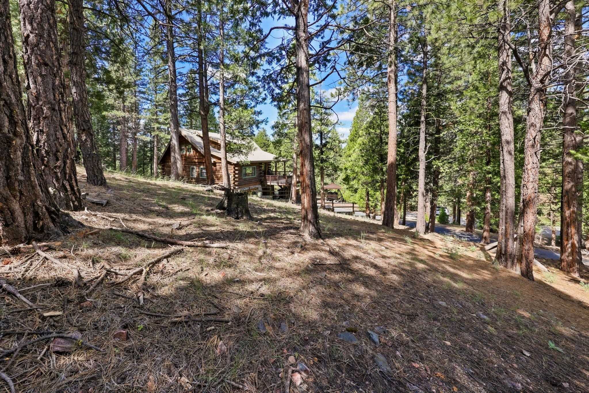 3225 Fawn Lane, Portola, New Mexico image 2