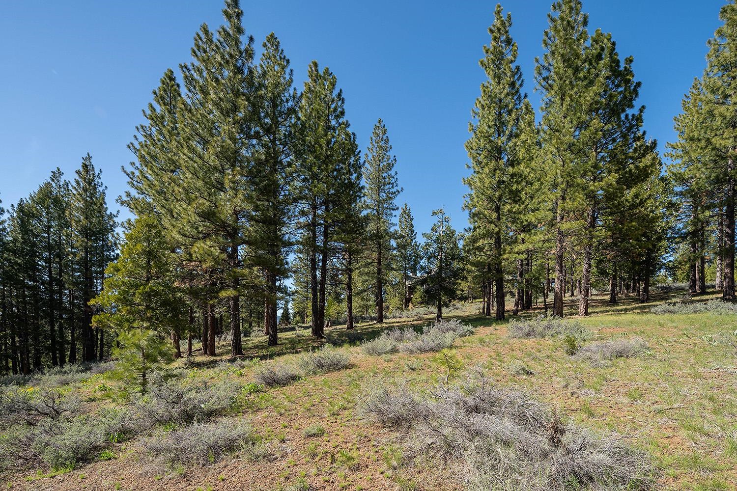 1512 Dream Maker Road, Portola, New Mexico image 18