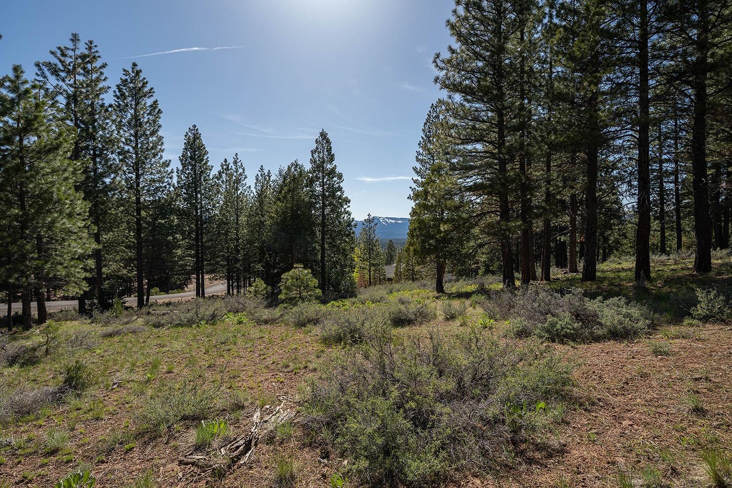 1512 Dream Maker Road, Portola, New Mexico image 17