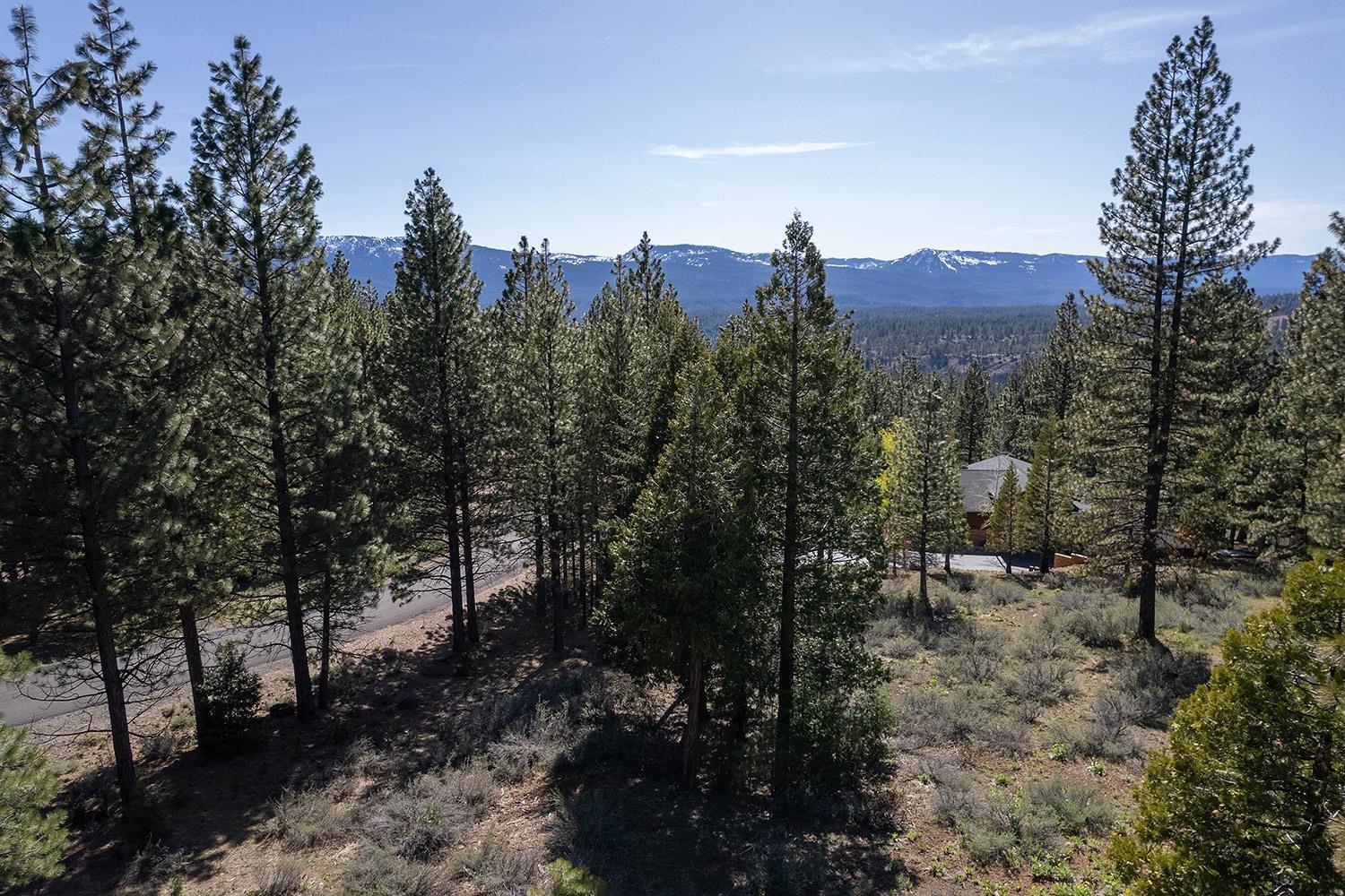 1512 Dream Maker Road, Portola, New Mexico image 15
