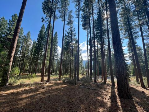 Vacant Land For Sale - 655 Bobcat Trail<br/> Plumas County, Clio, CA 96106