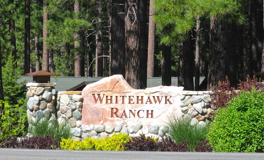 655 Bobcat Trail, Clio, California image 23