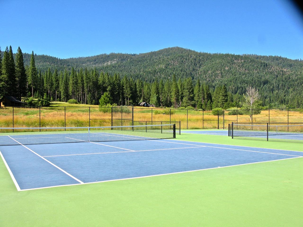 655 Bobcat Trail, Clio, California image 21
