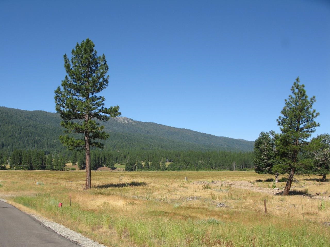655 Bobcat Trail, Clio, California image 25