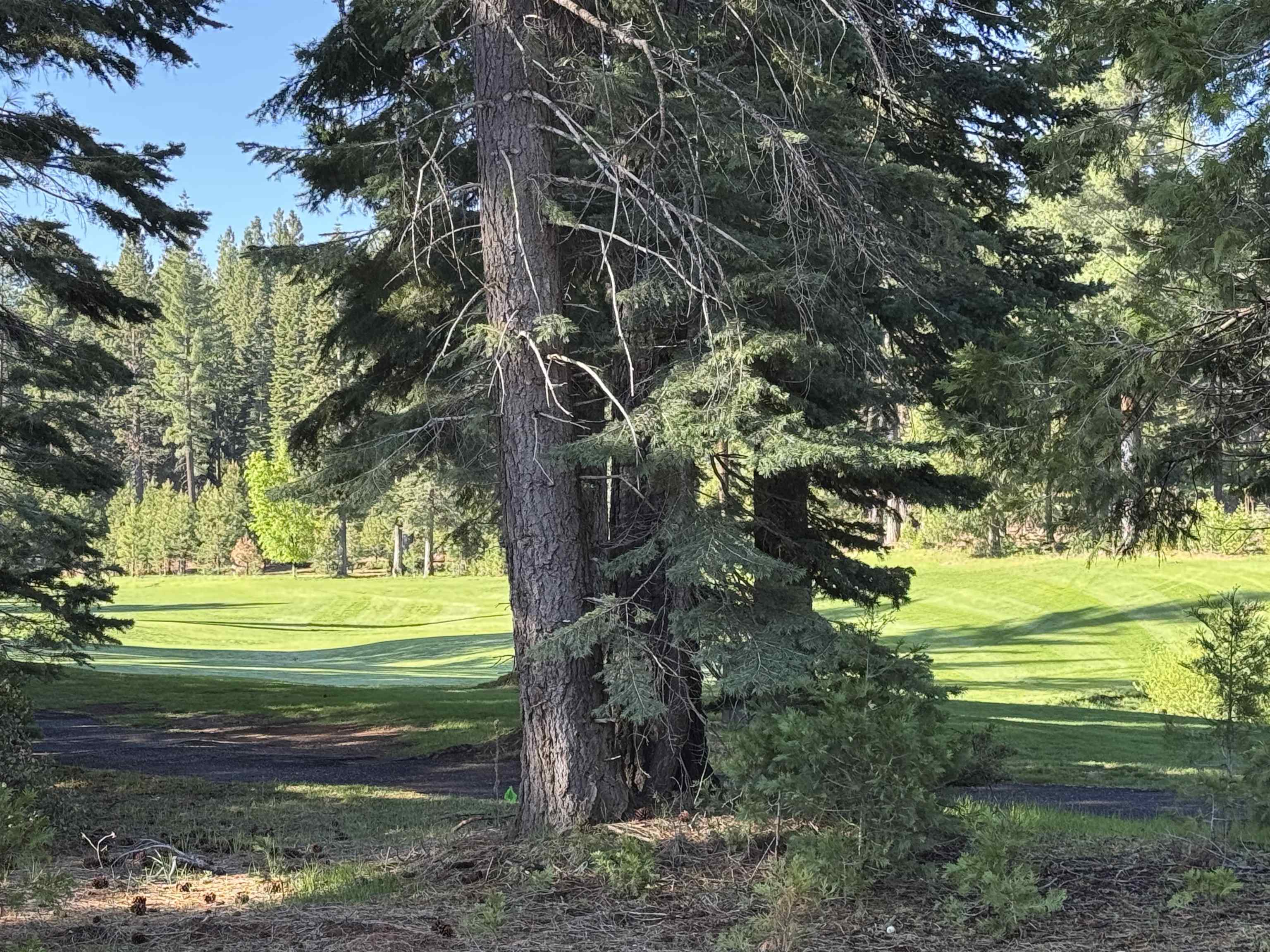 Lake Almanor, California 96137, United States, 3 Bedrooms Bedrooms, ,3 BathroomsBathrooms,Residential,Active,133514