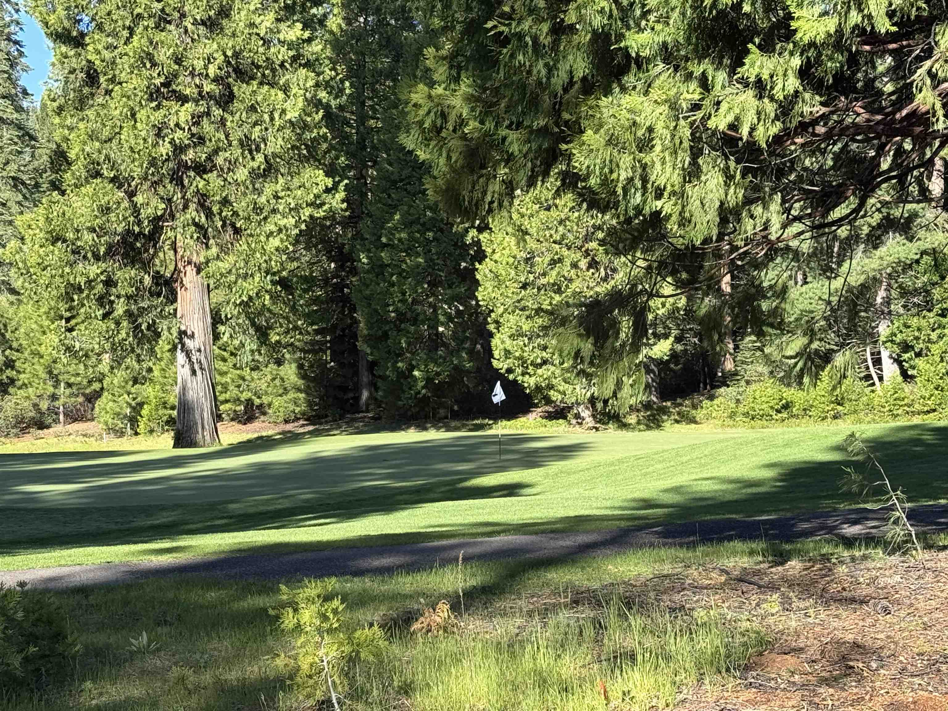 Lake Almanor, California 96137, United States, 3 Bedrooms Bedrooms, ,3 BathroomsBathrooms,Residential,Active,133514