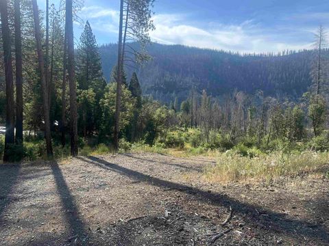 Vacant Land For Sale - 291255 Roeder Avenue Ave<br/> Plumas County, Greenville, CA 95934
