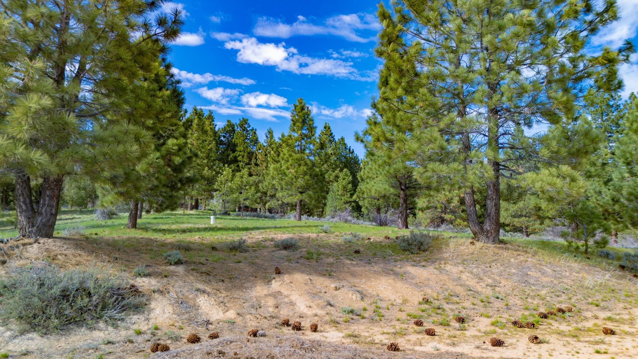 79600 Brae Gate Road, Beckwourth, New Mexico image 16