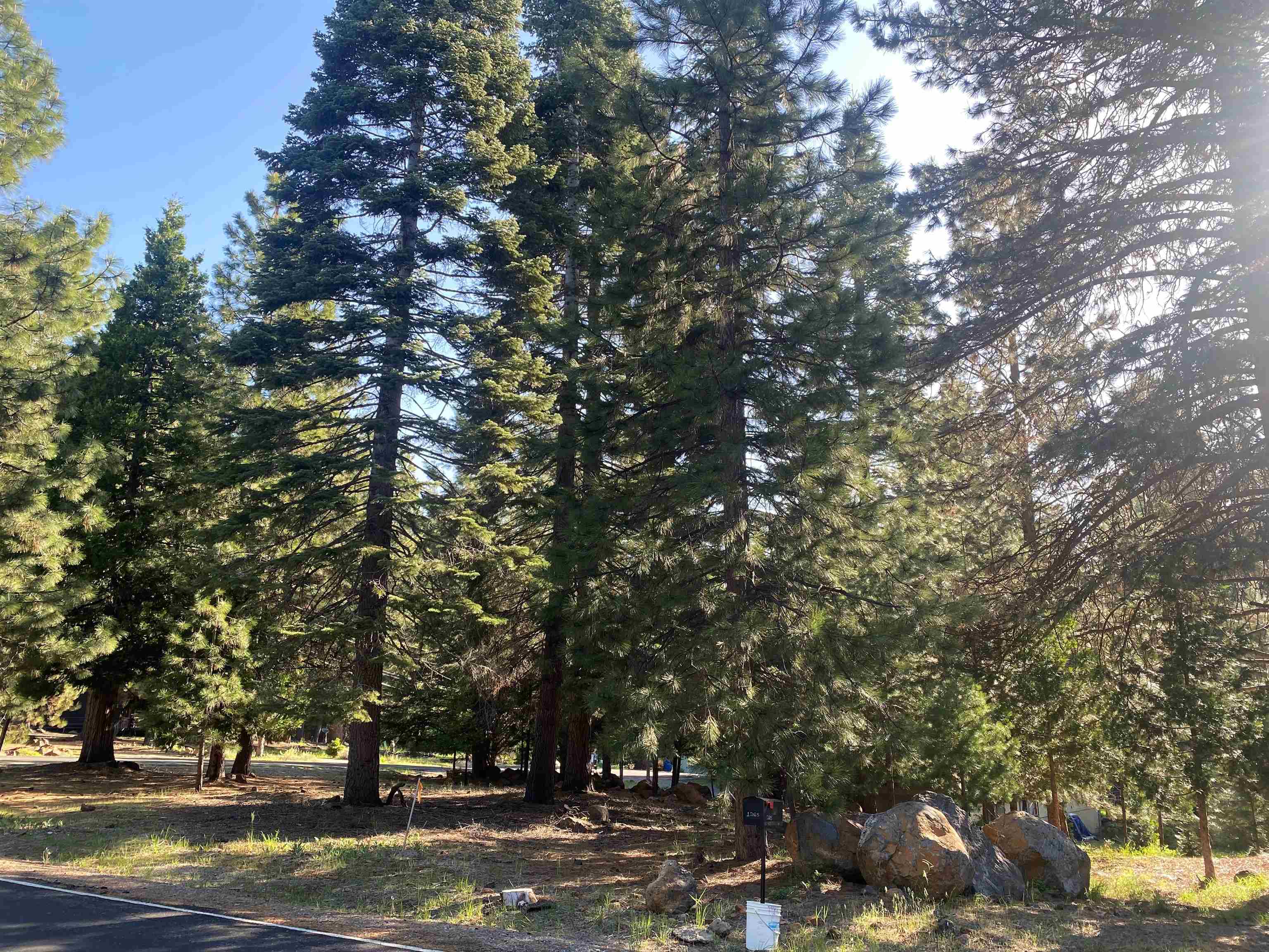 Lake Almanor, California 96137, United States, ,Land,Active,99638