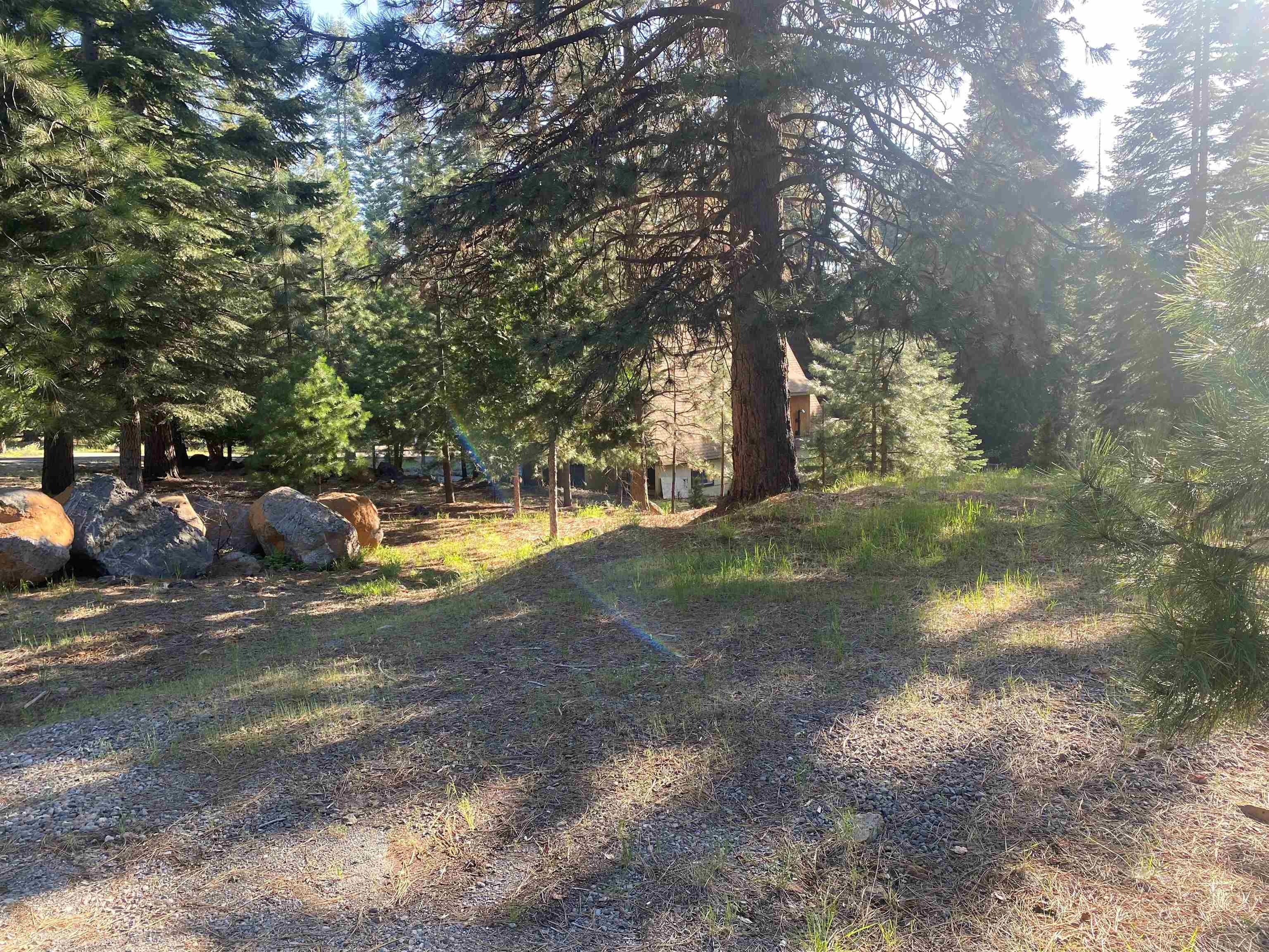 Lake Almanor, California 96137, United States, ,Land,Active,99638