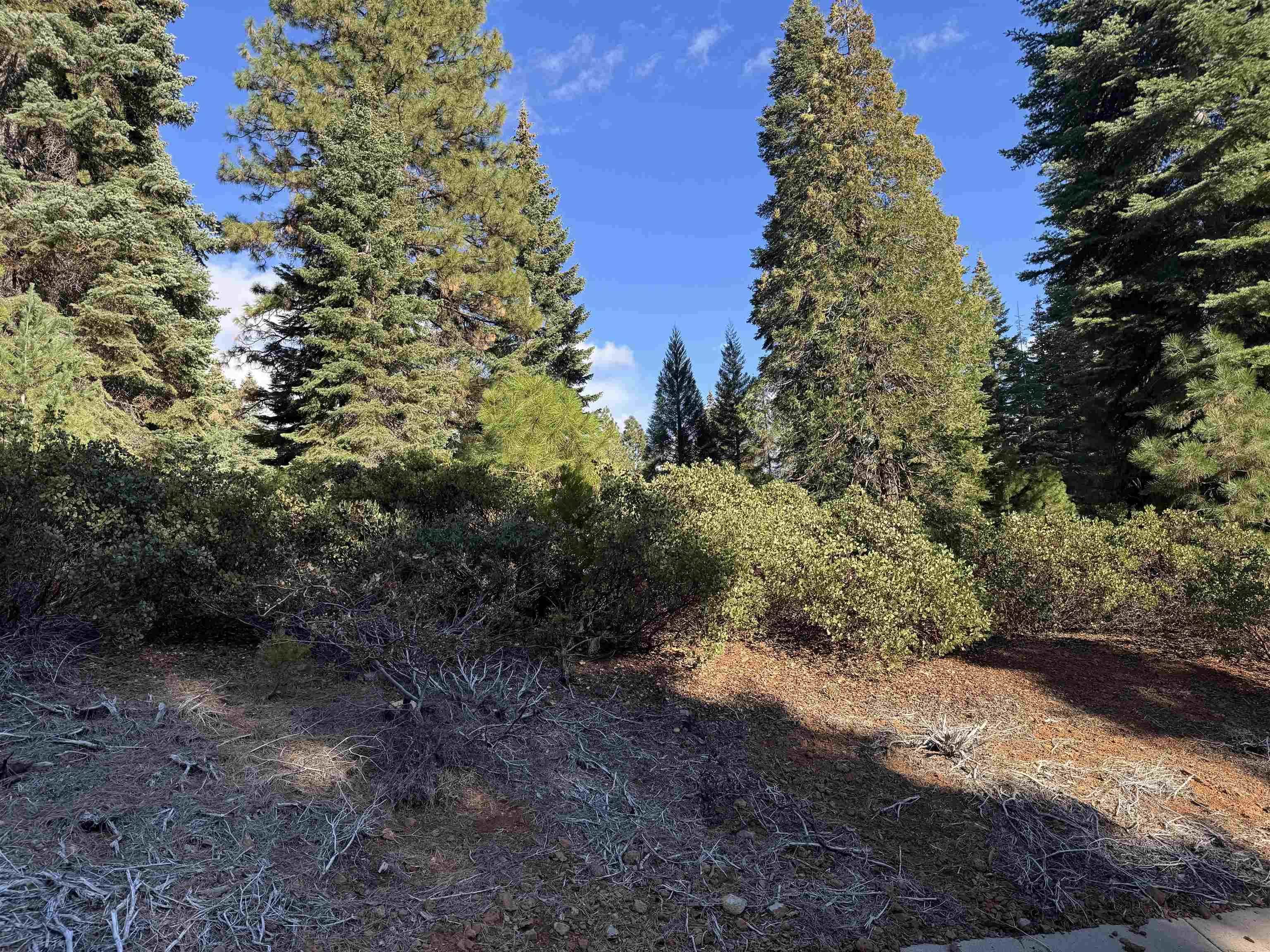 Lake Almanor, California 96137, United States, ,Land,Active,226590